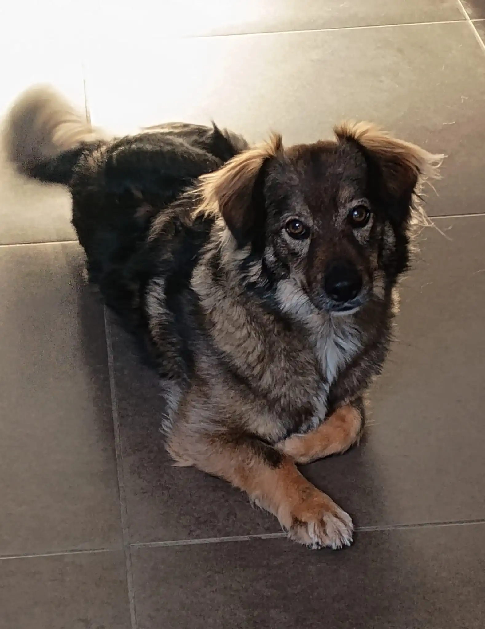 image-6