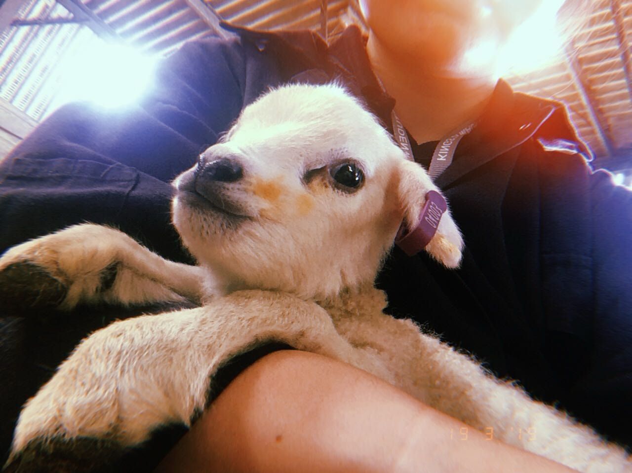 image-8
