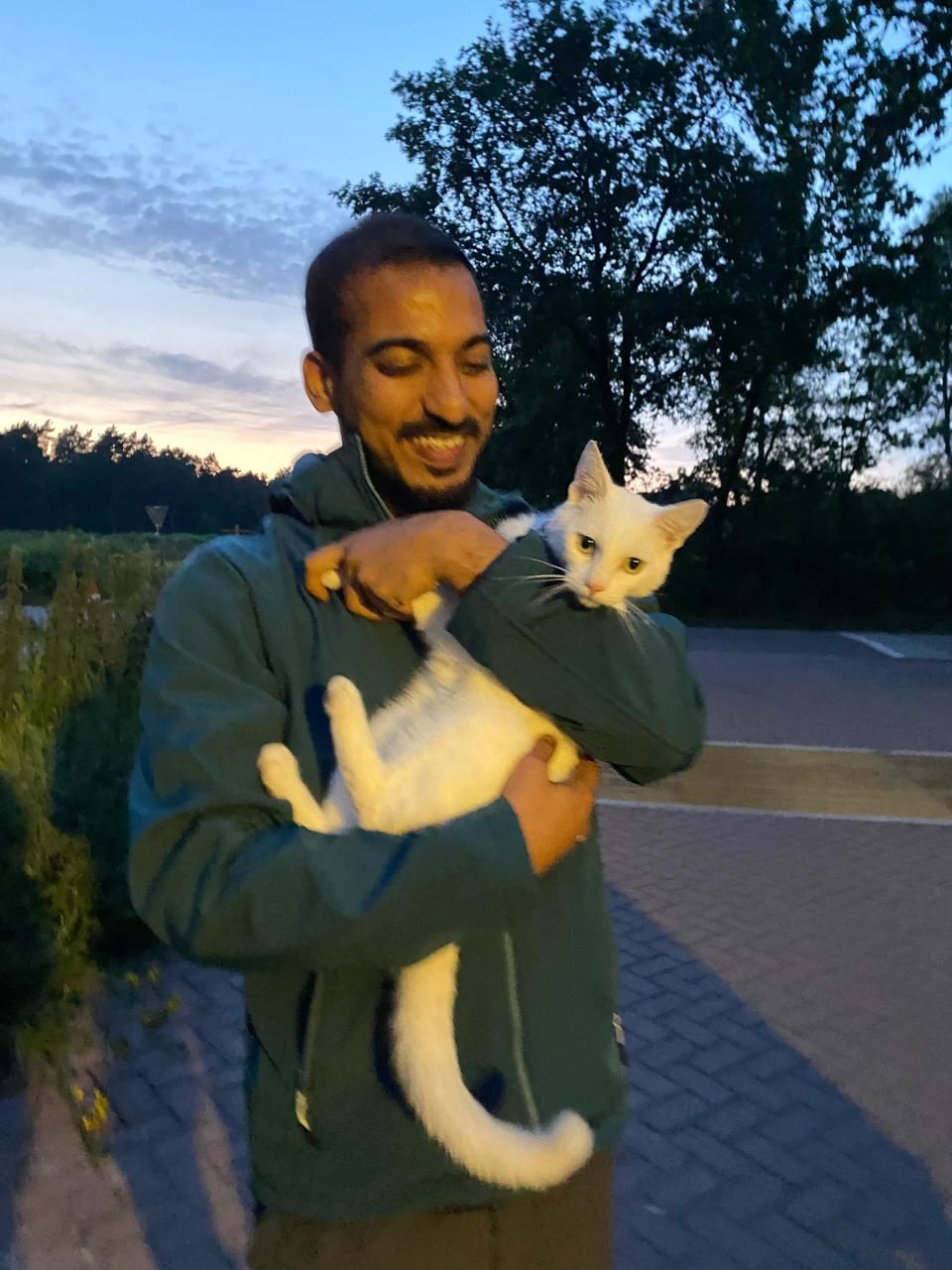 image-6