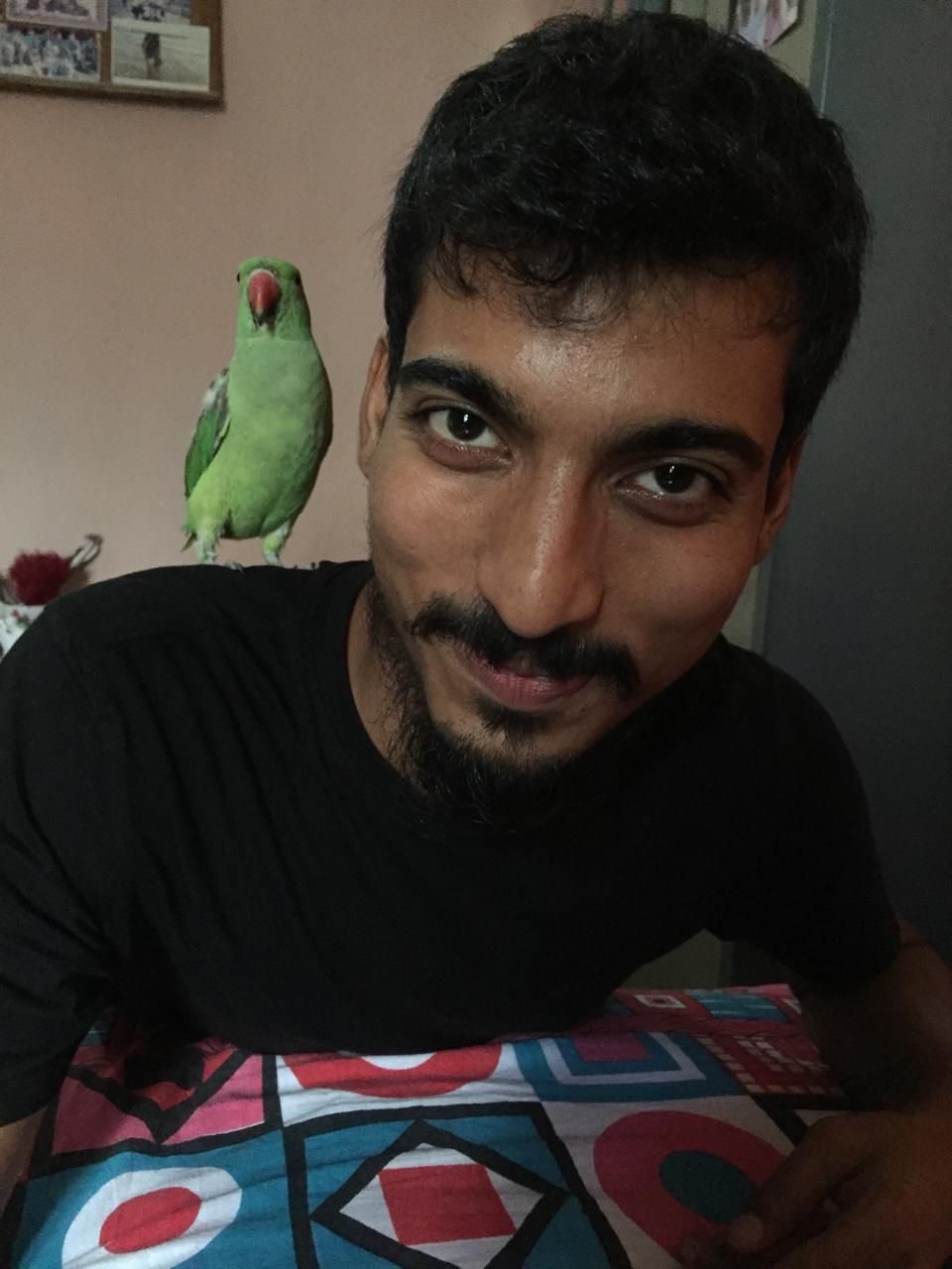 image-8