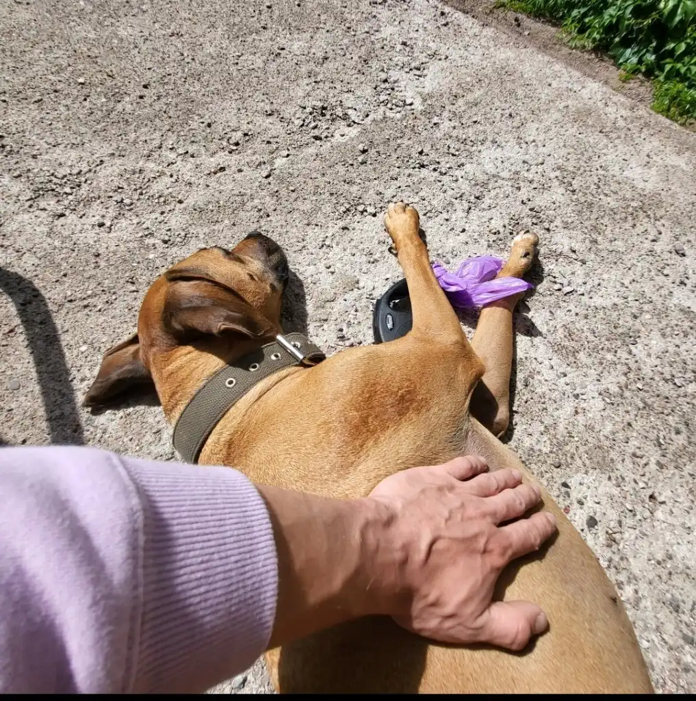 image-5