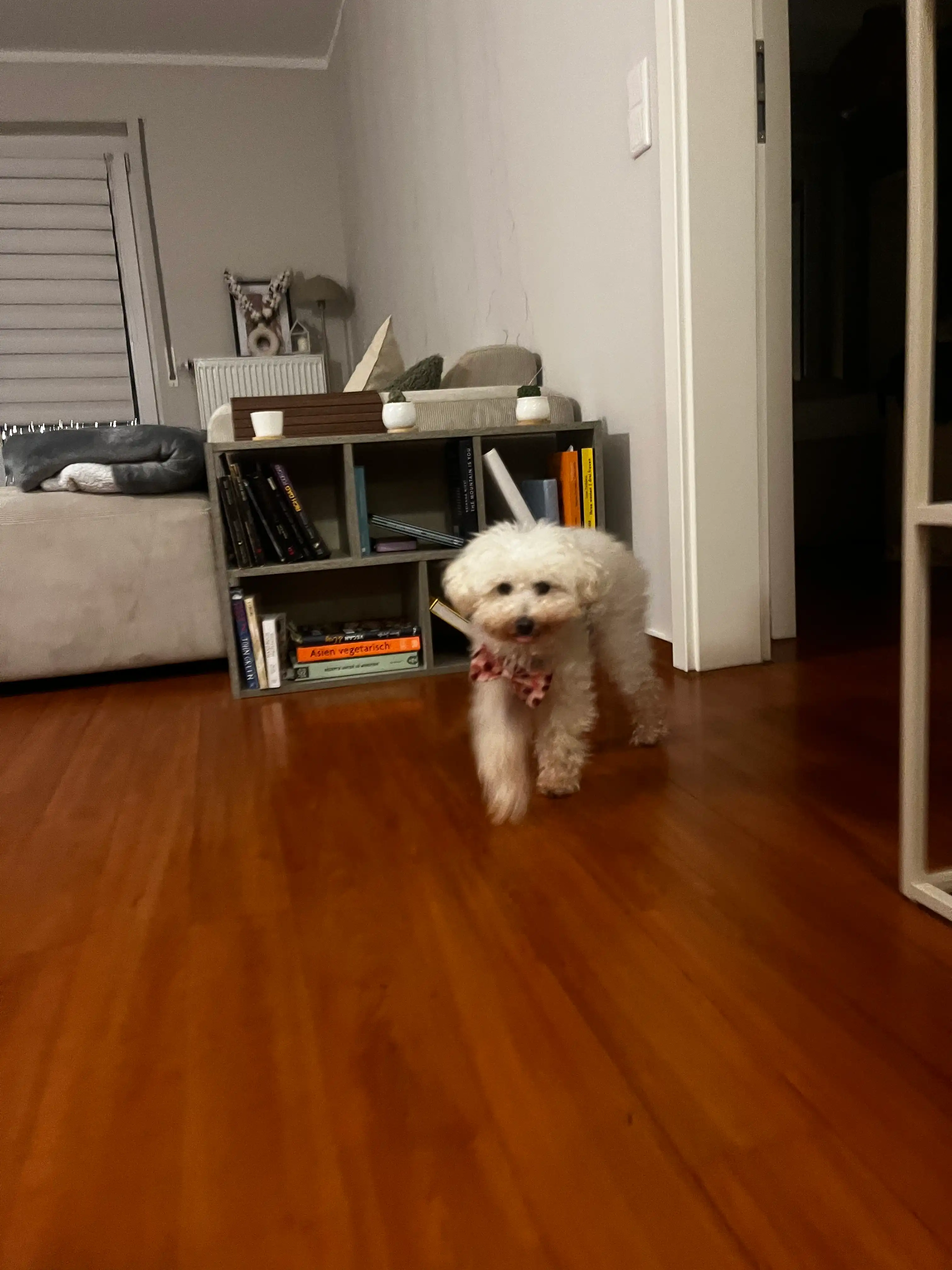 image-15
