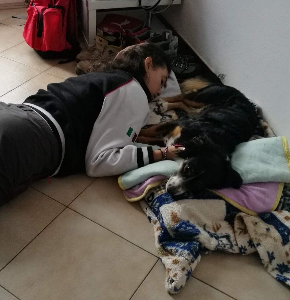 image-5