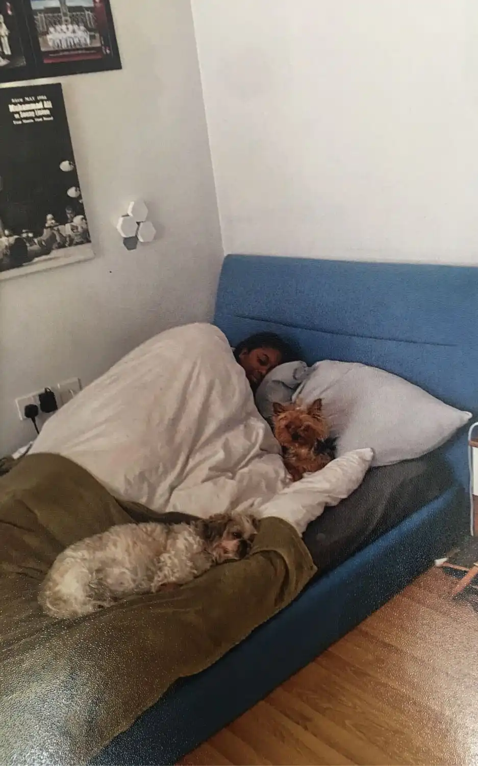 image-7