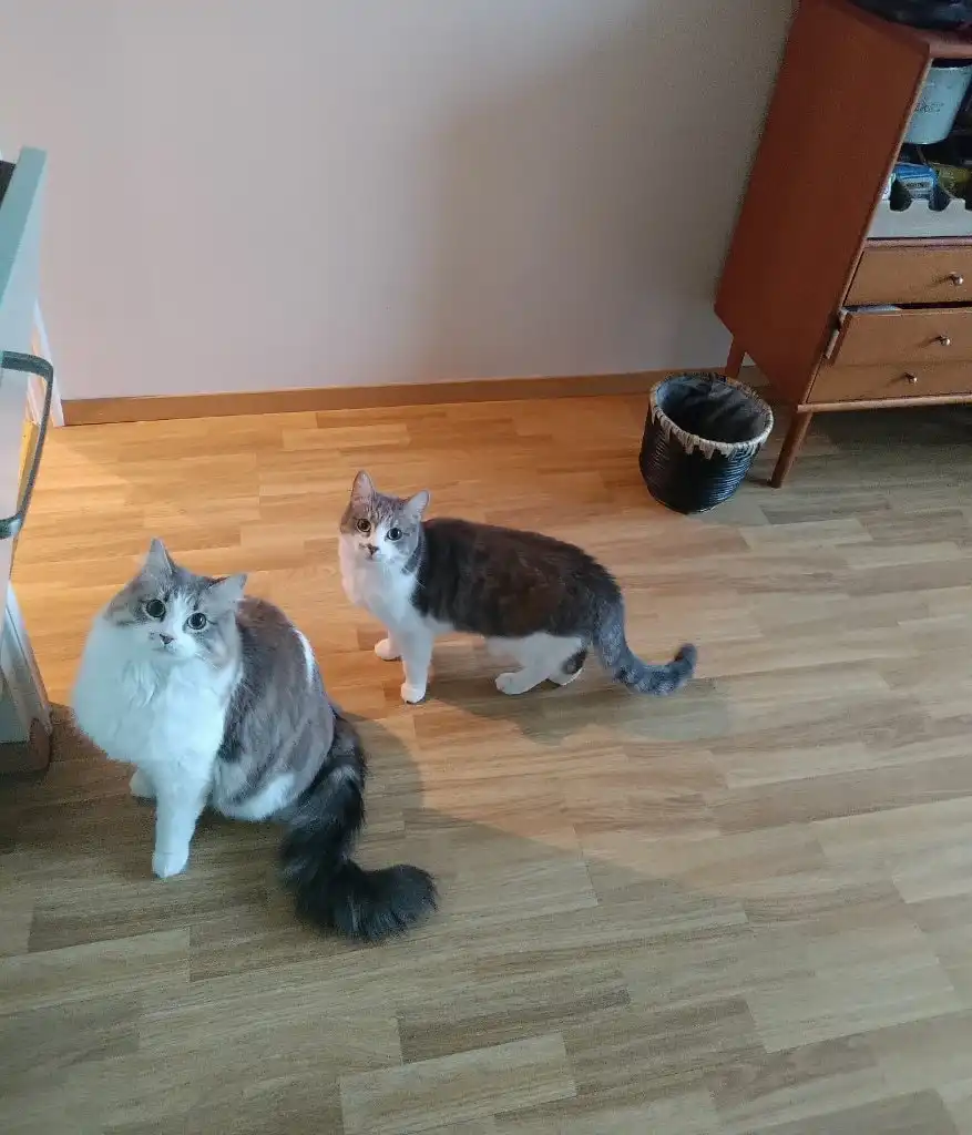 image-49