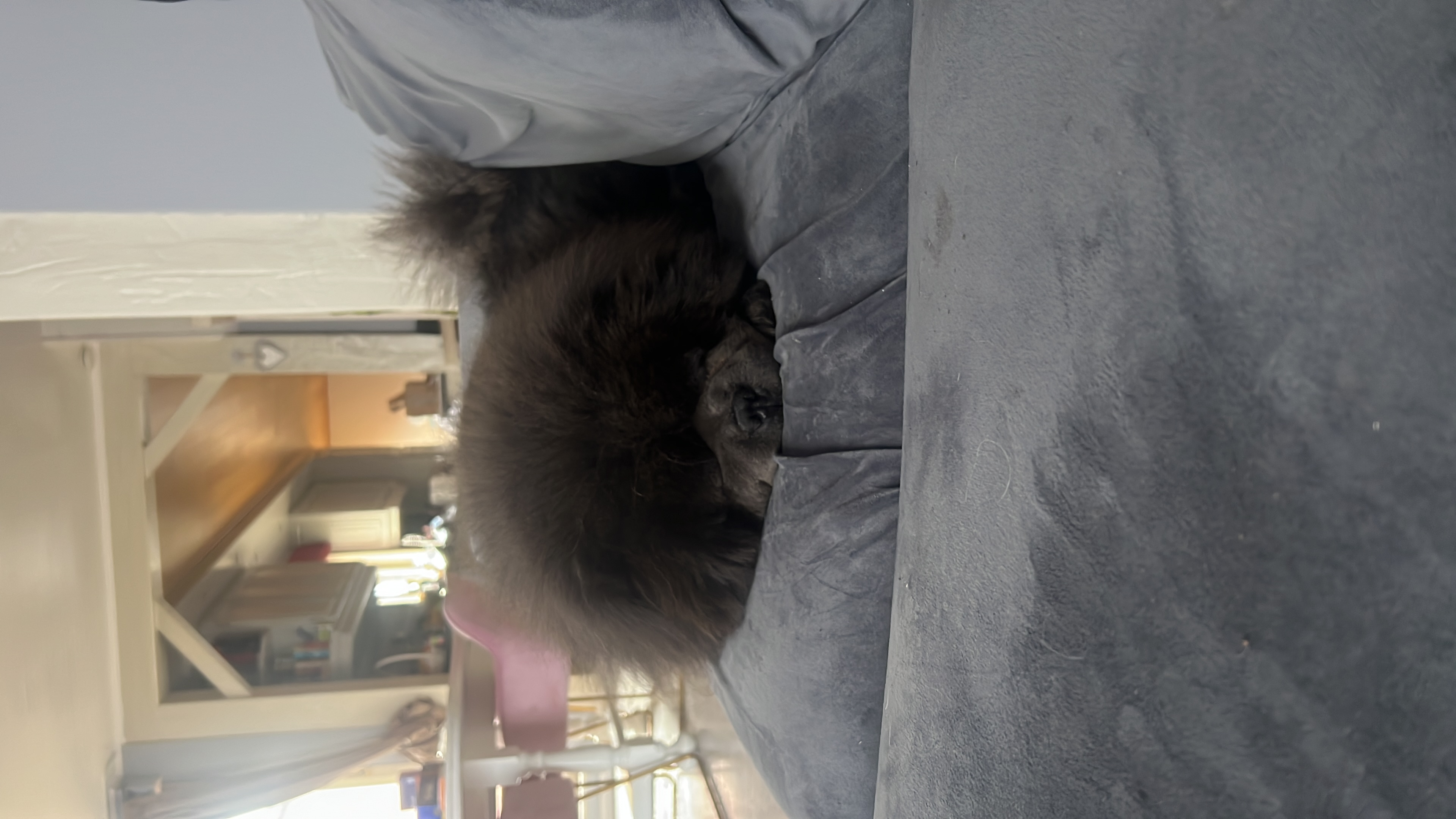 image-8