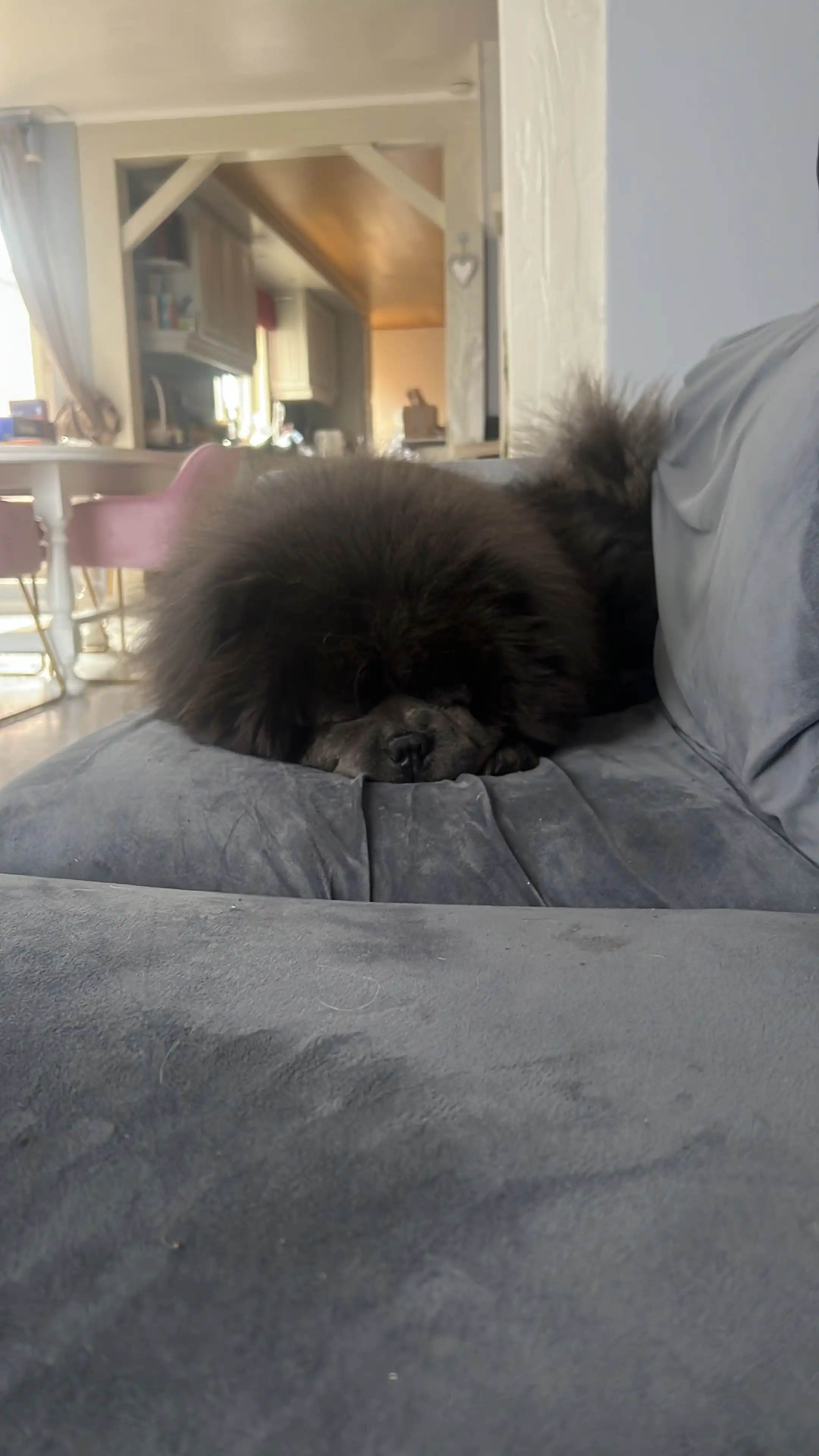 image-8