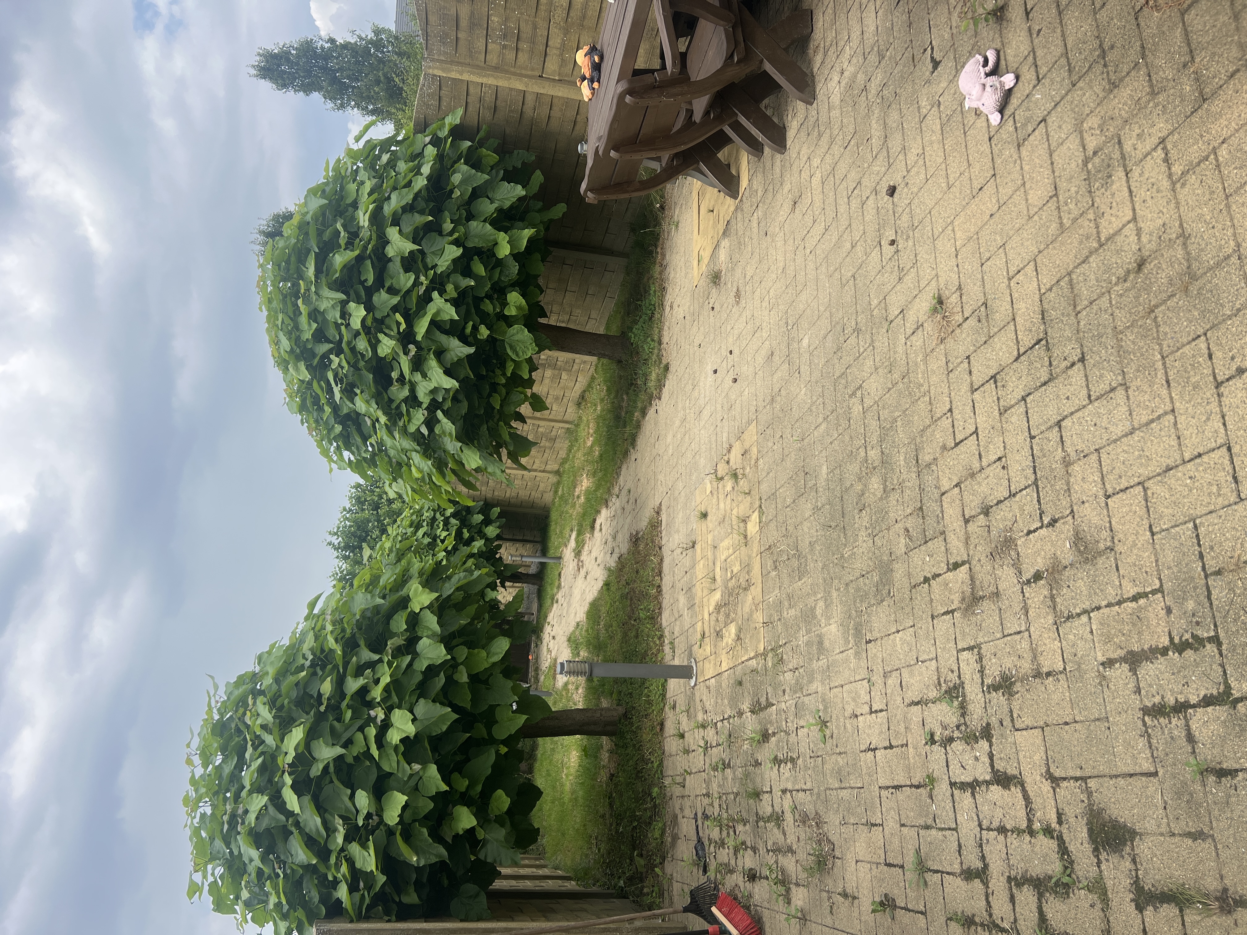 image-19
