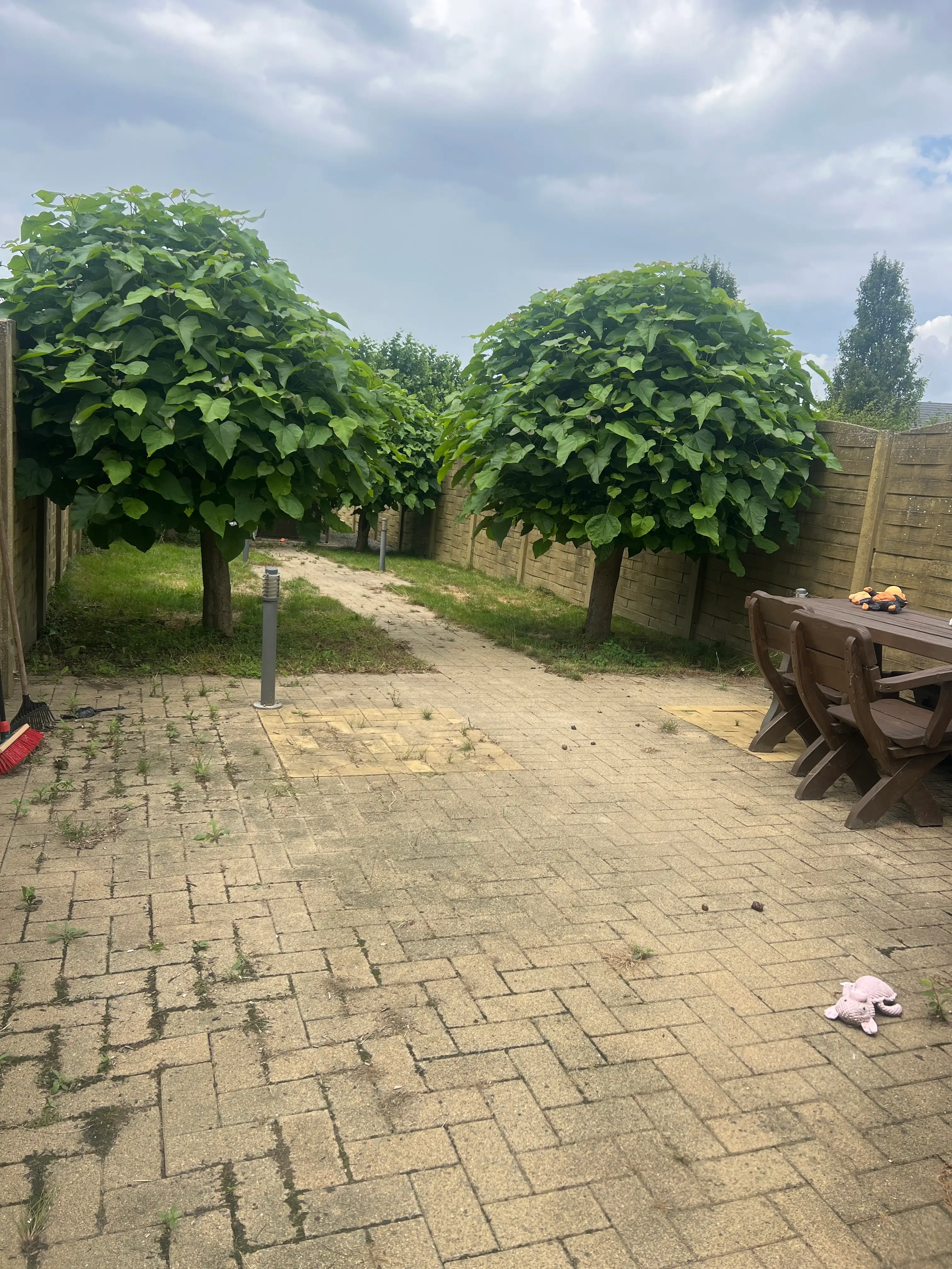image-19