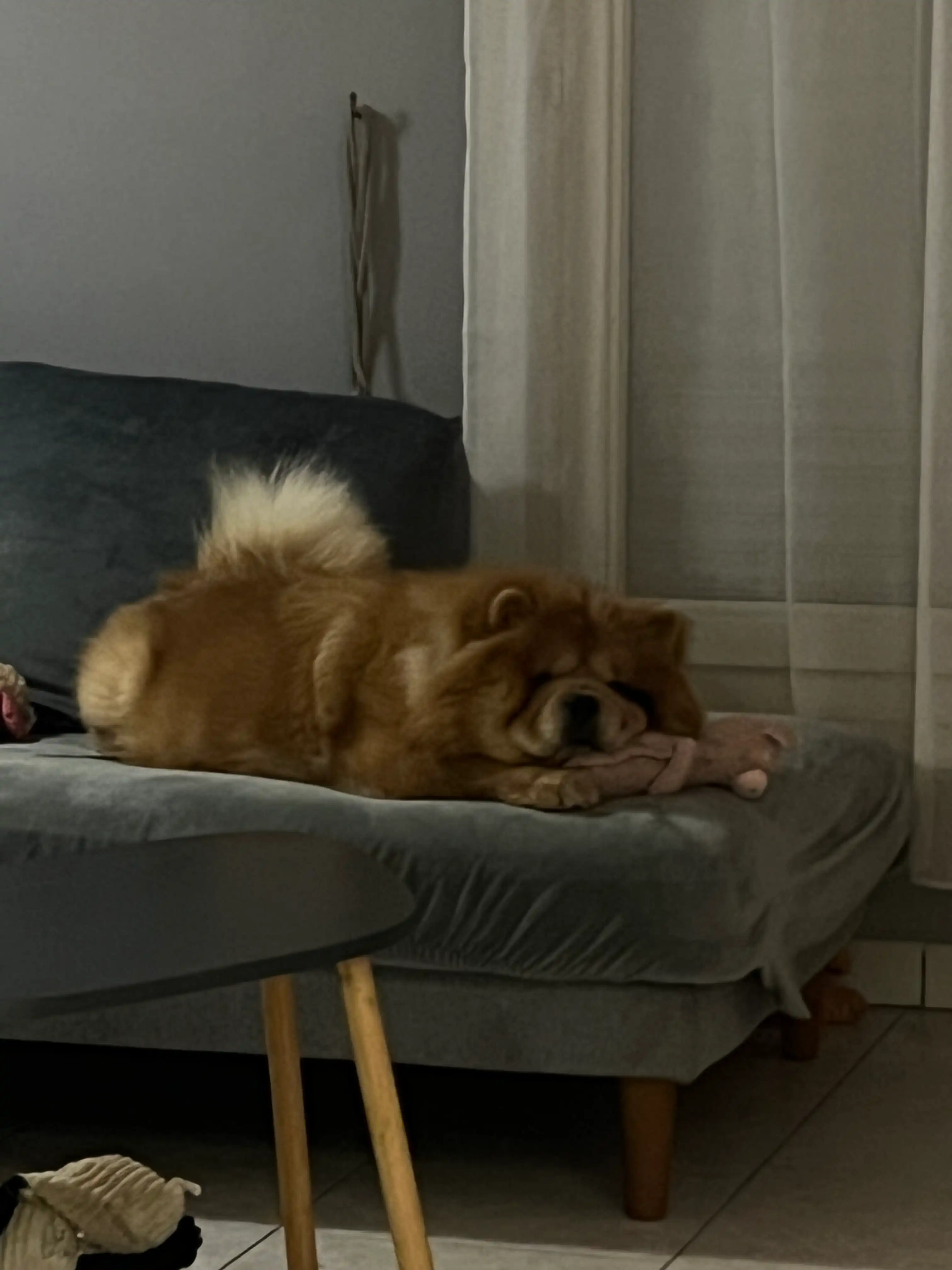 image-7