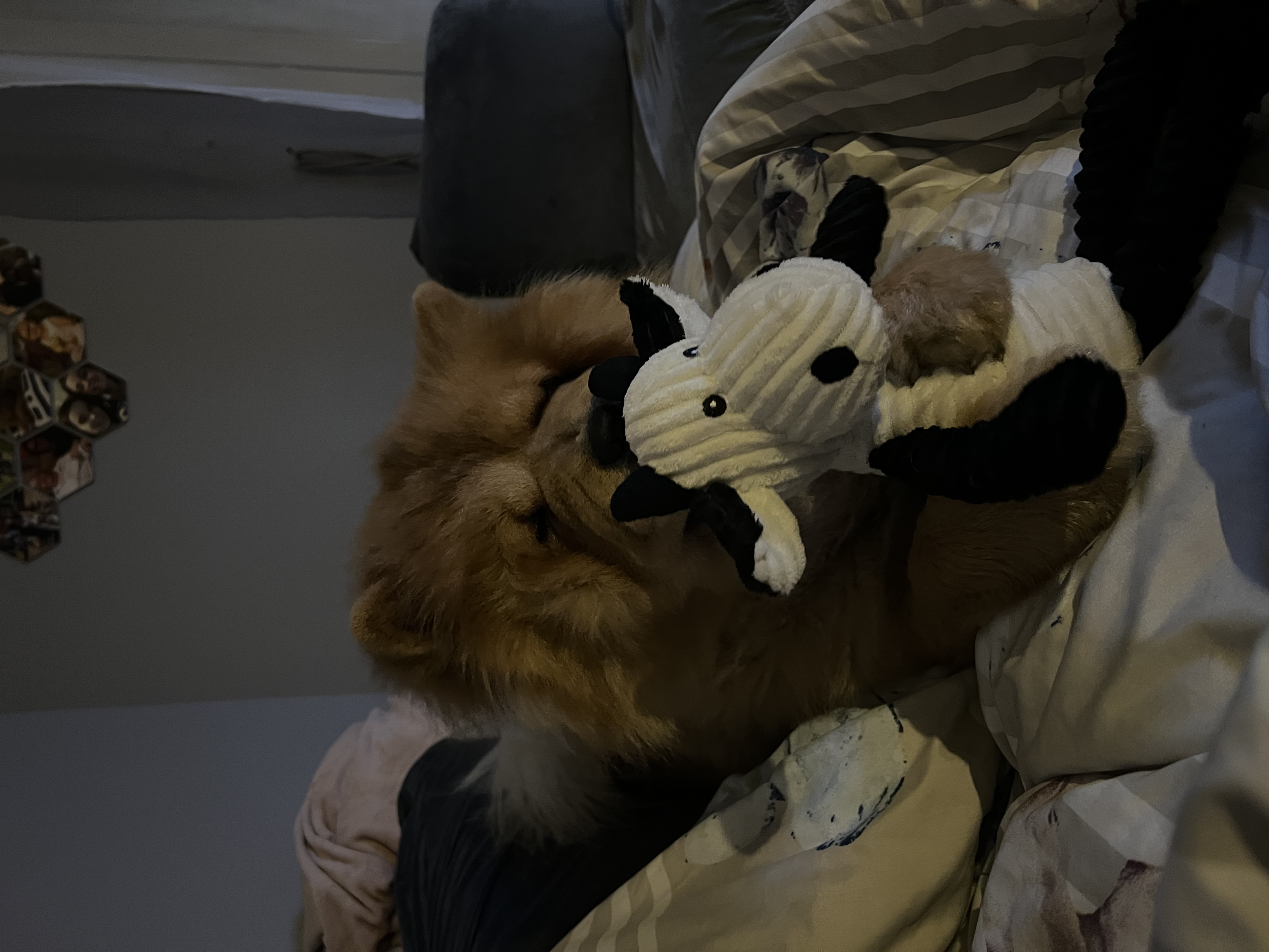 image-9