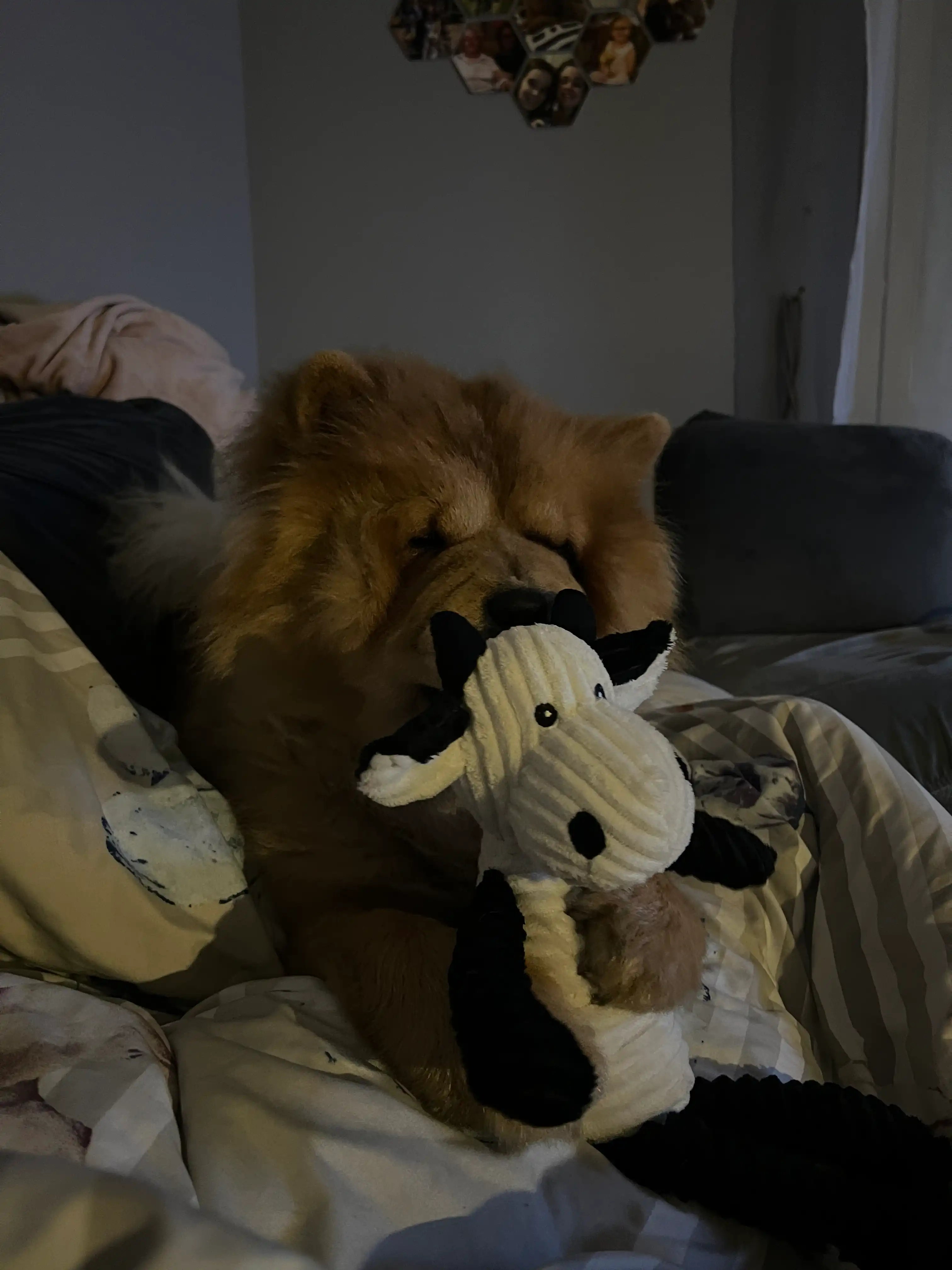 image-9