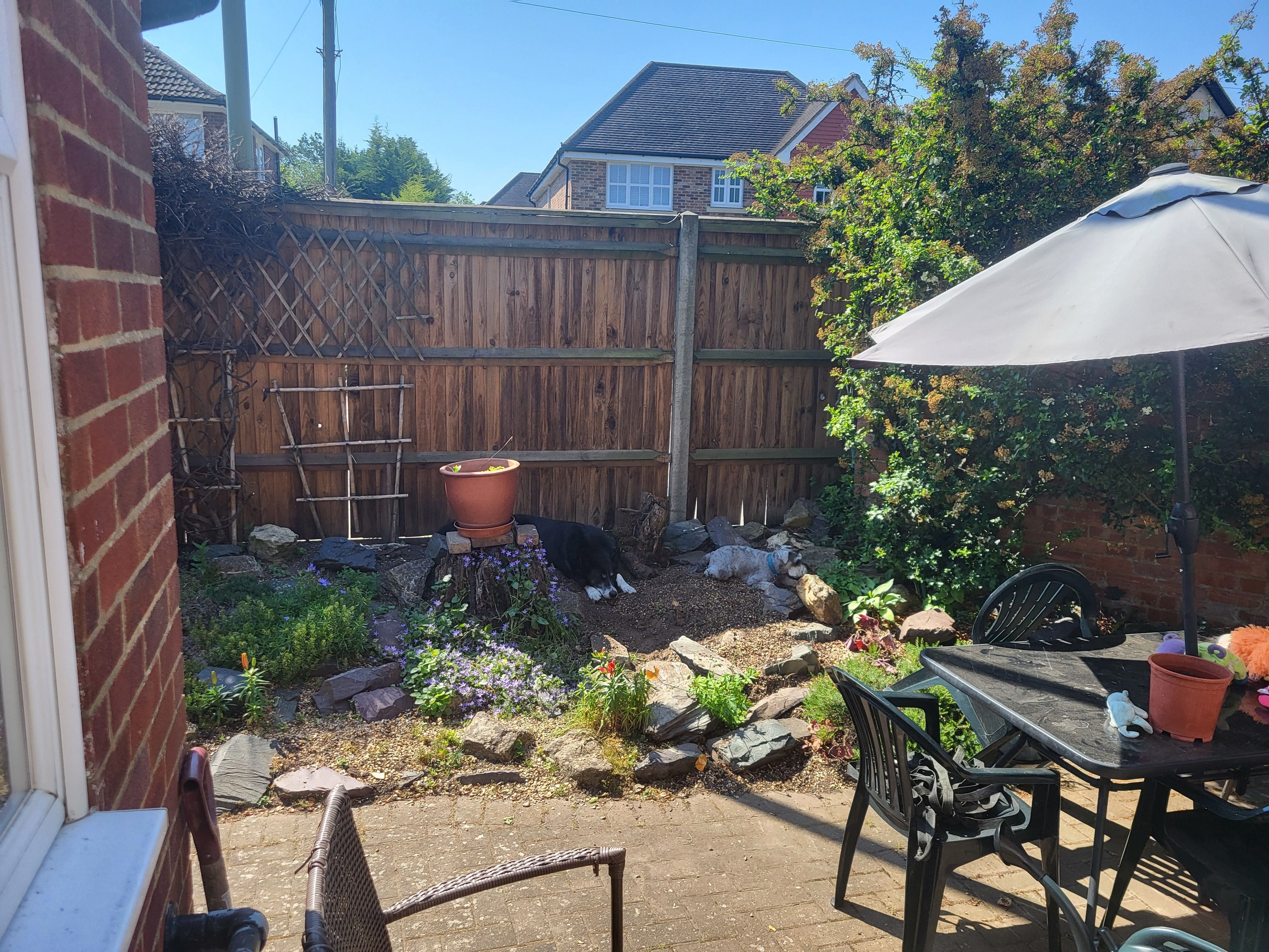 image-14