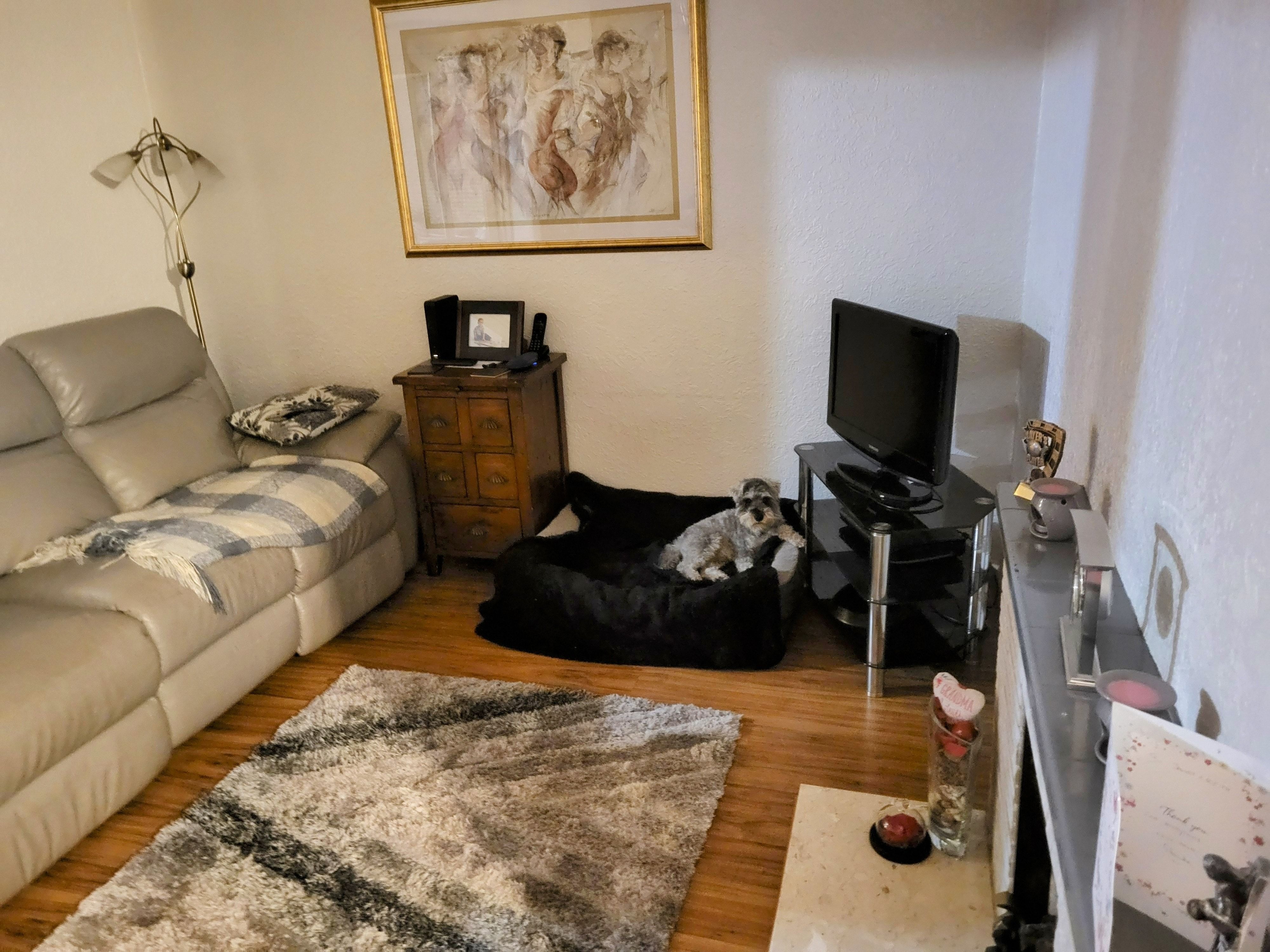 image-16