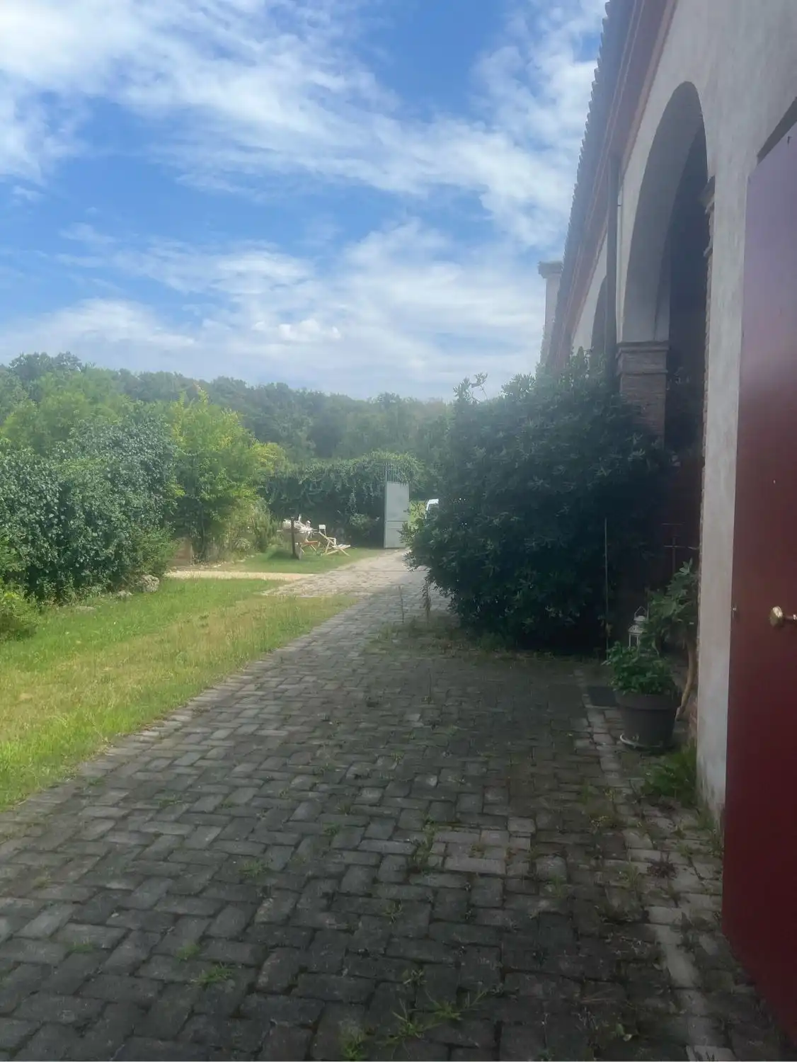 image-7
