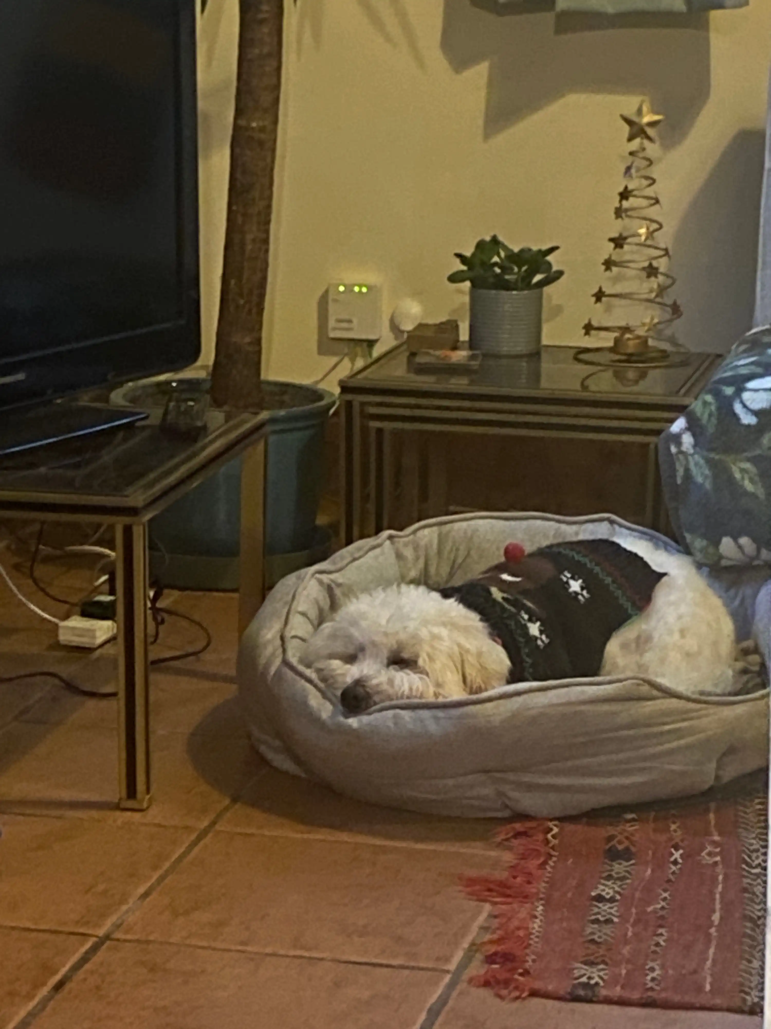 image-13