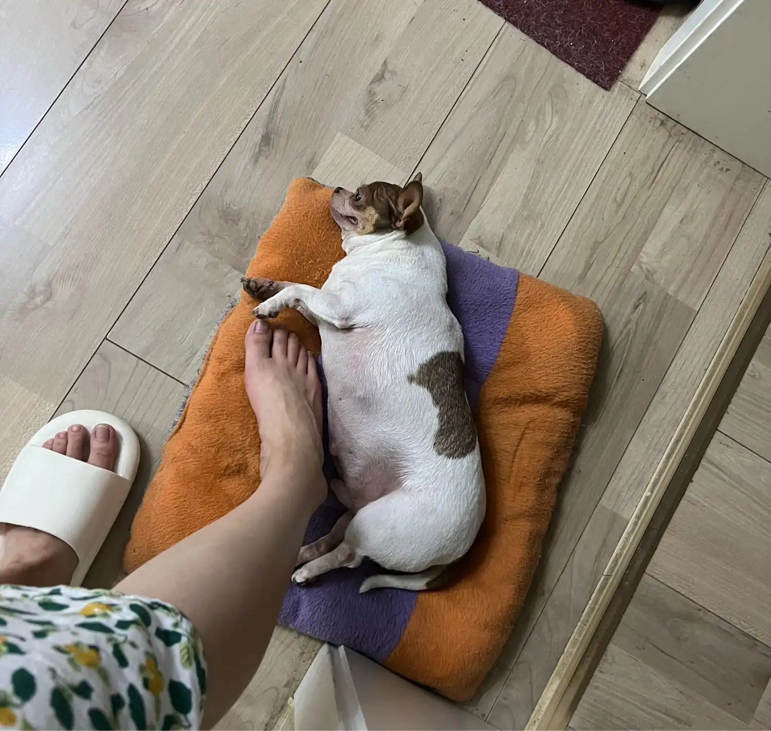 image-6