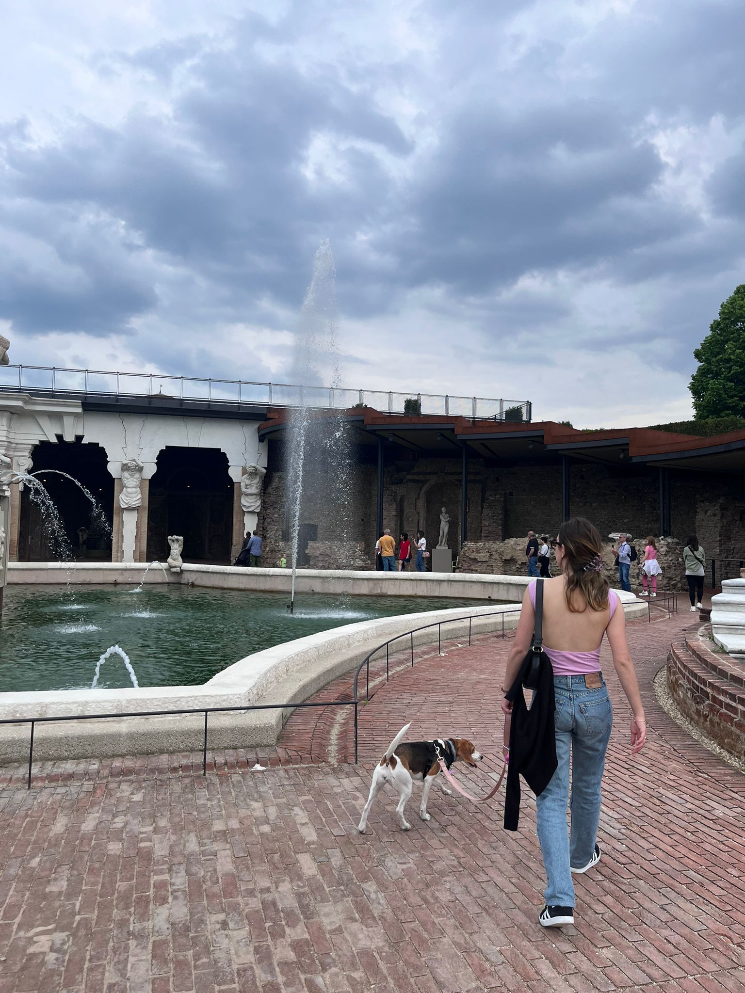 image-14