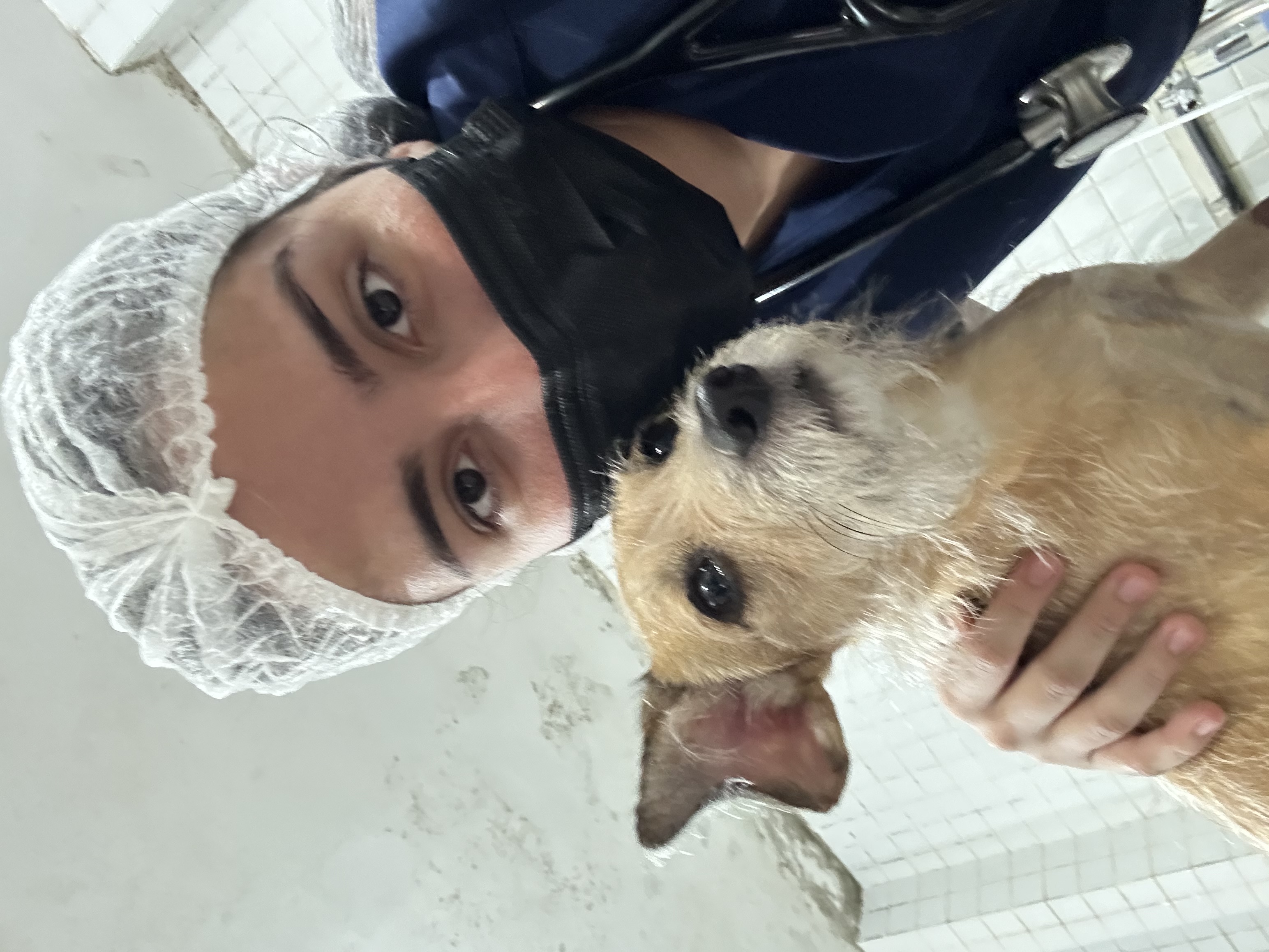image-7