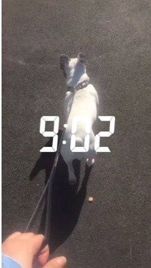 image-7