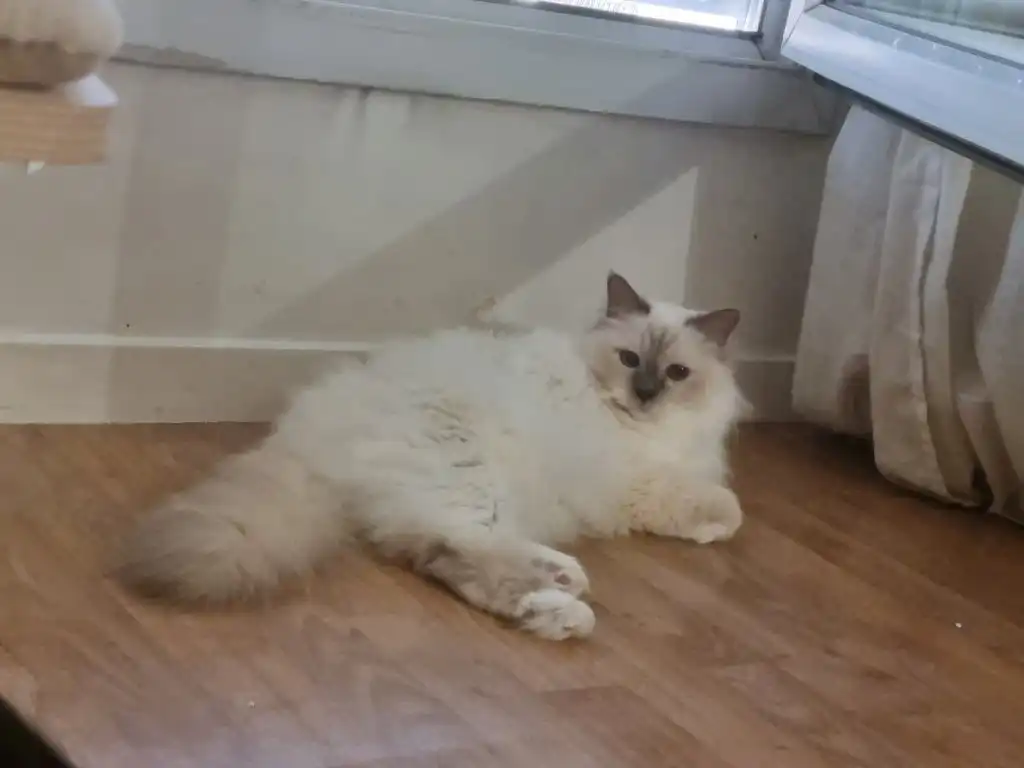image-10