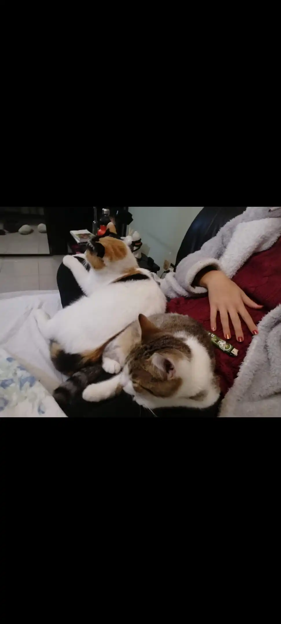 image-6