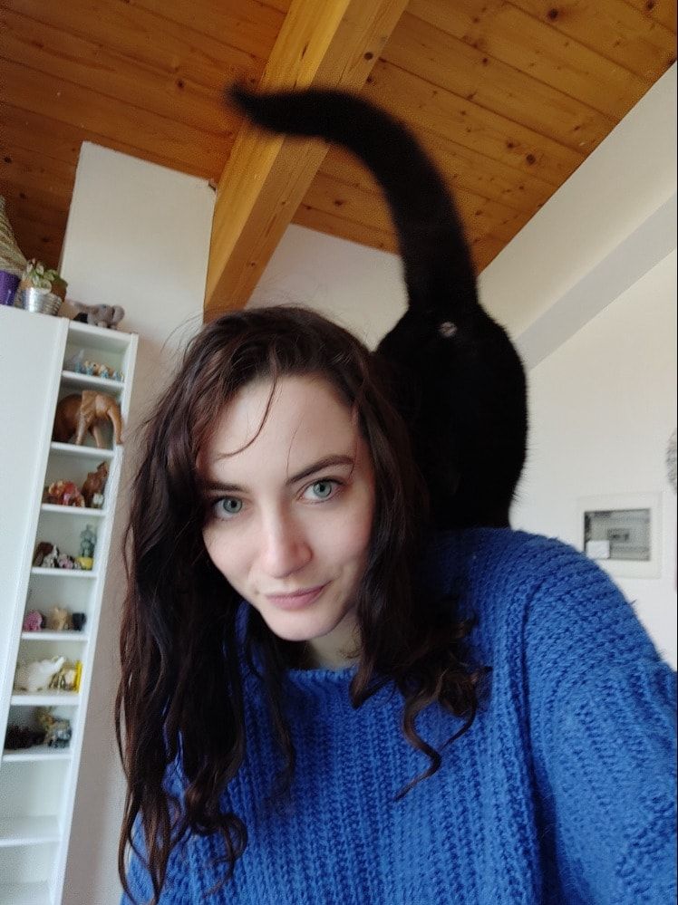 image-6