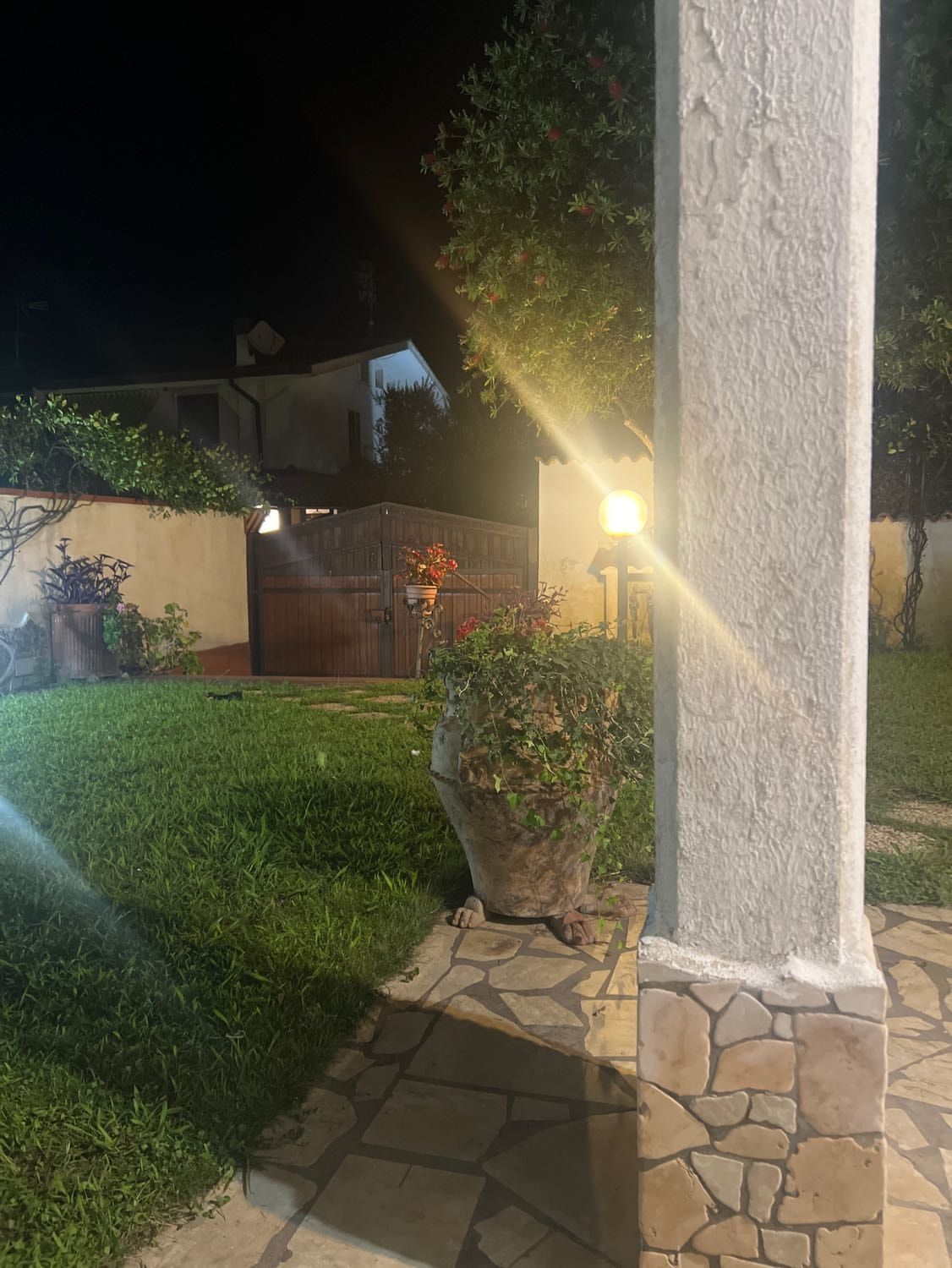 image-8