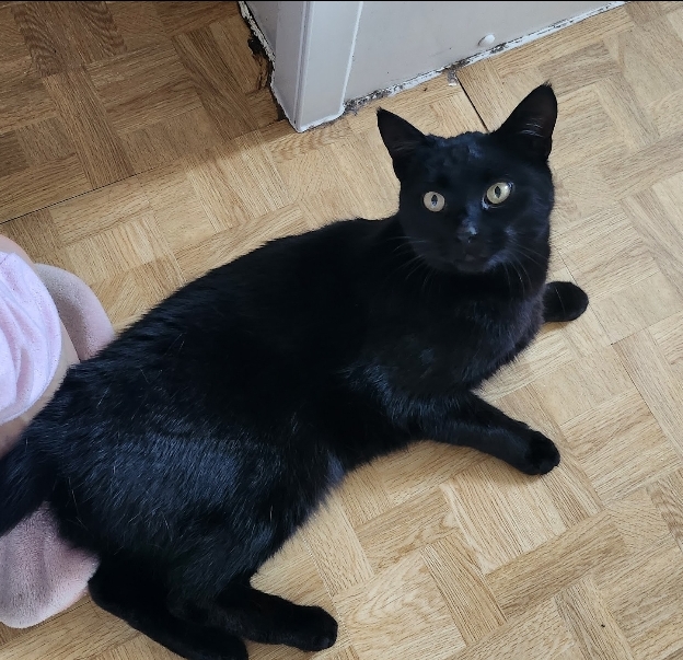 image-6