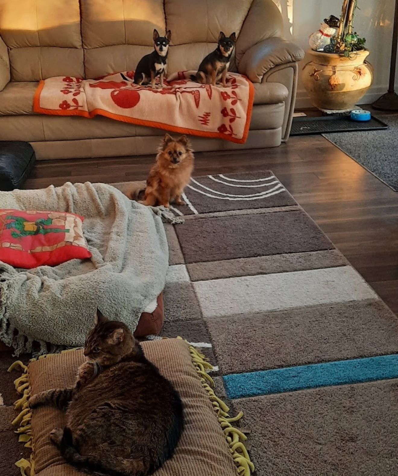 image-16