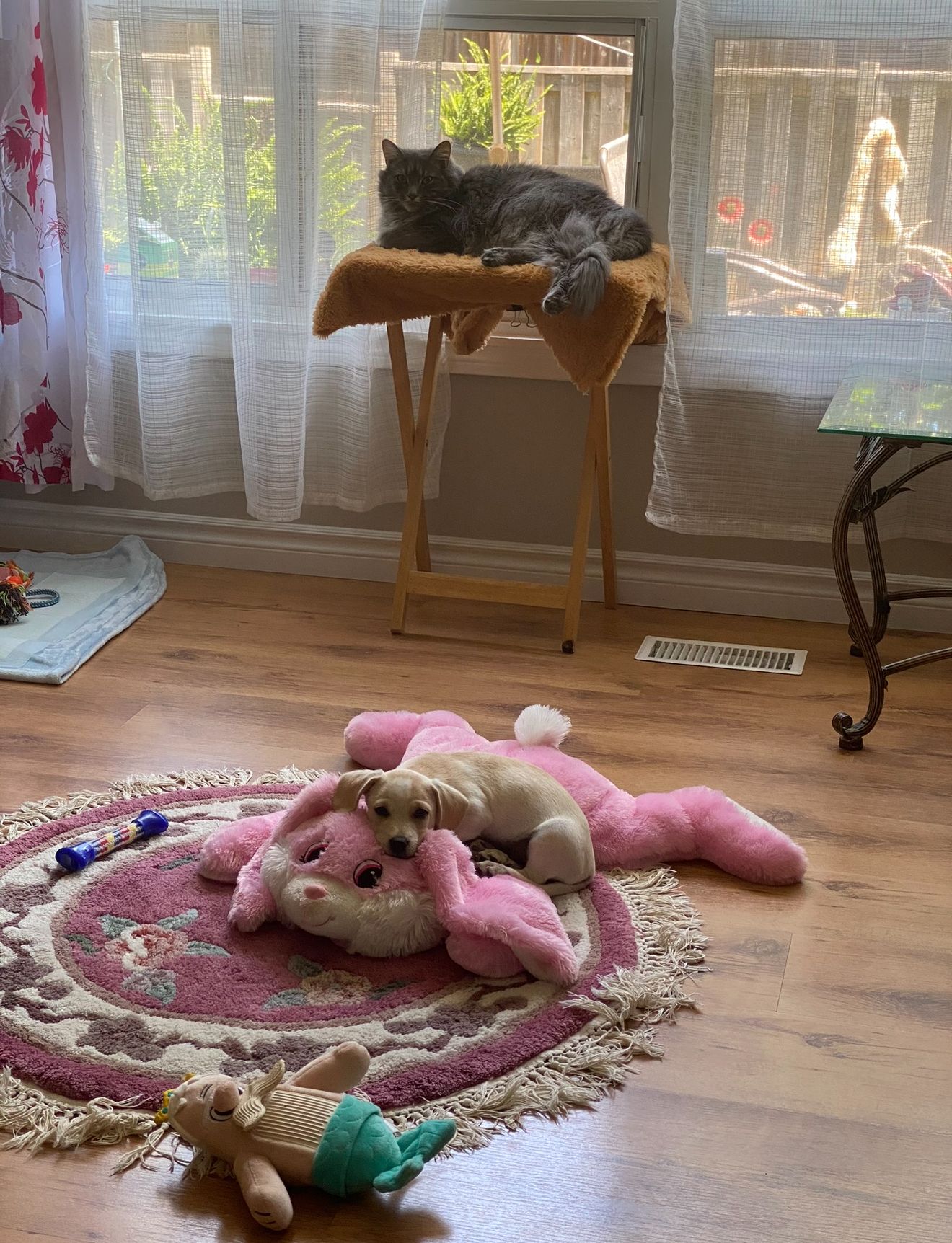 image-15