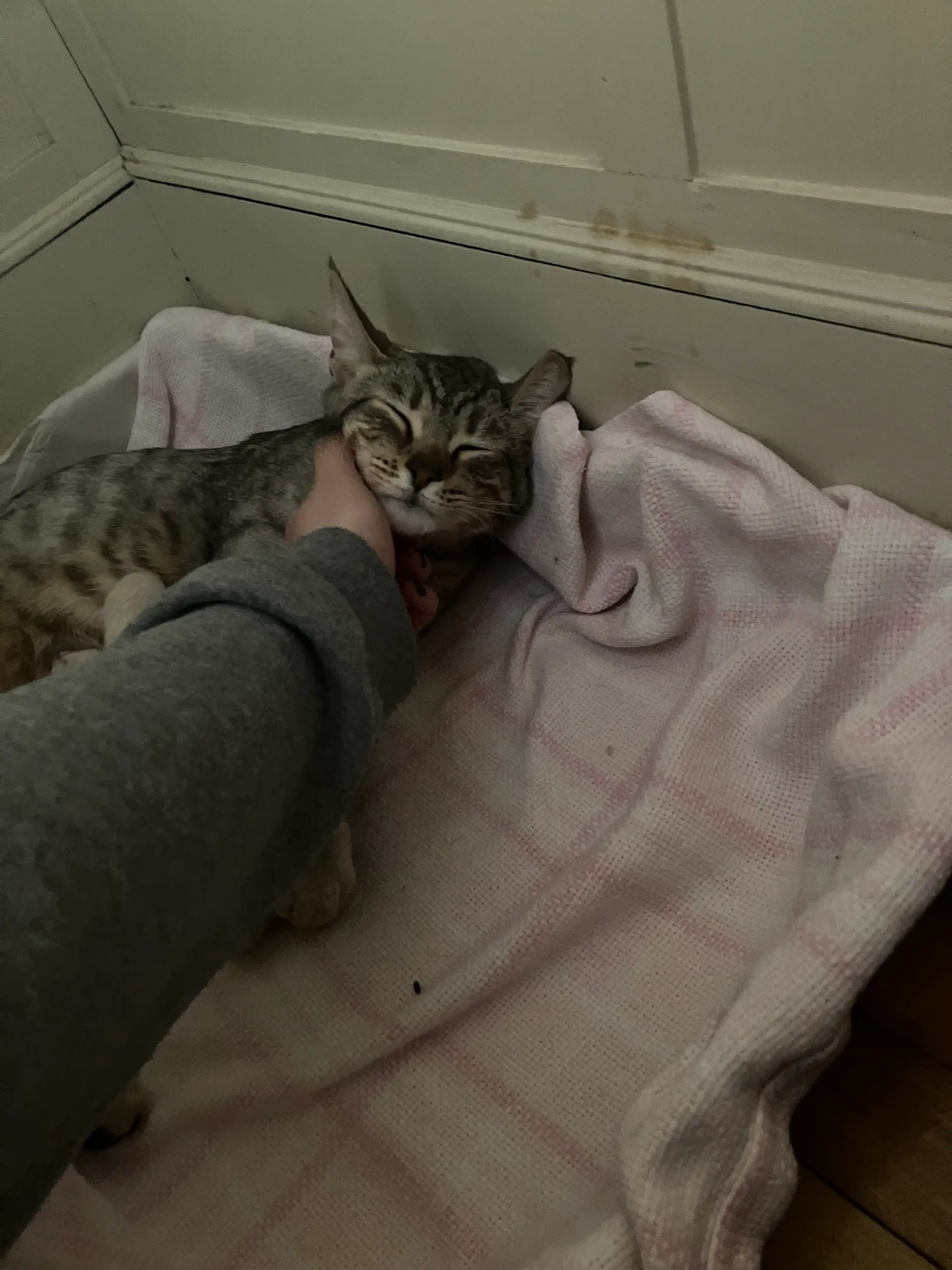 image-9