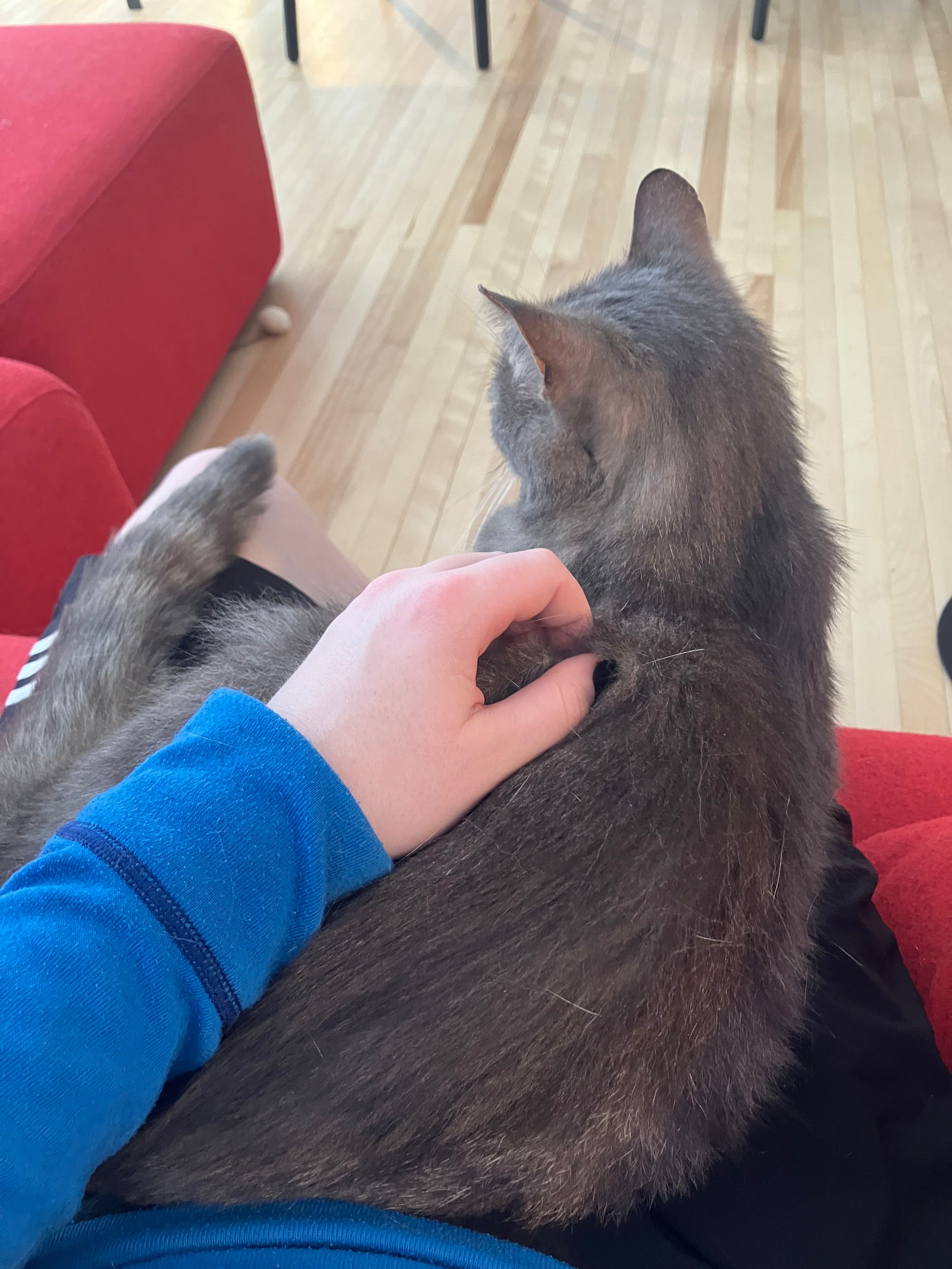 image-10