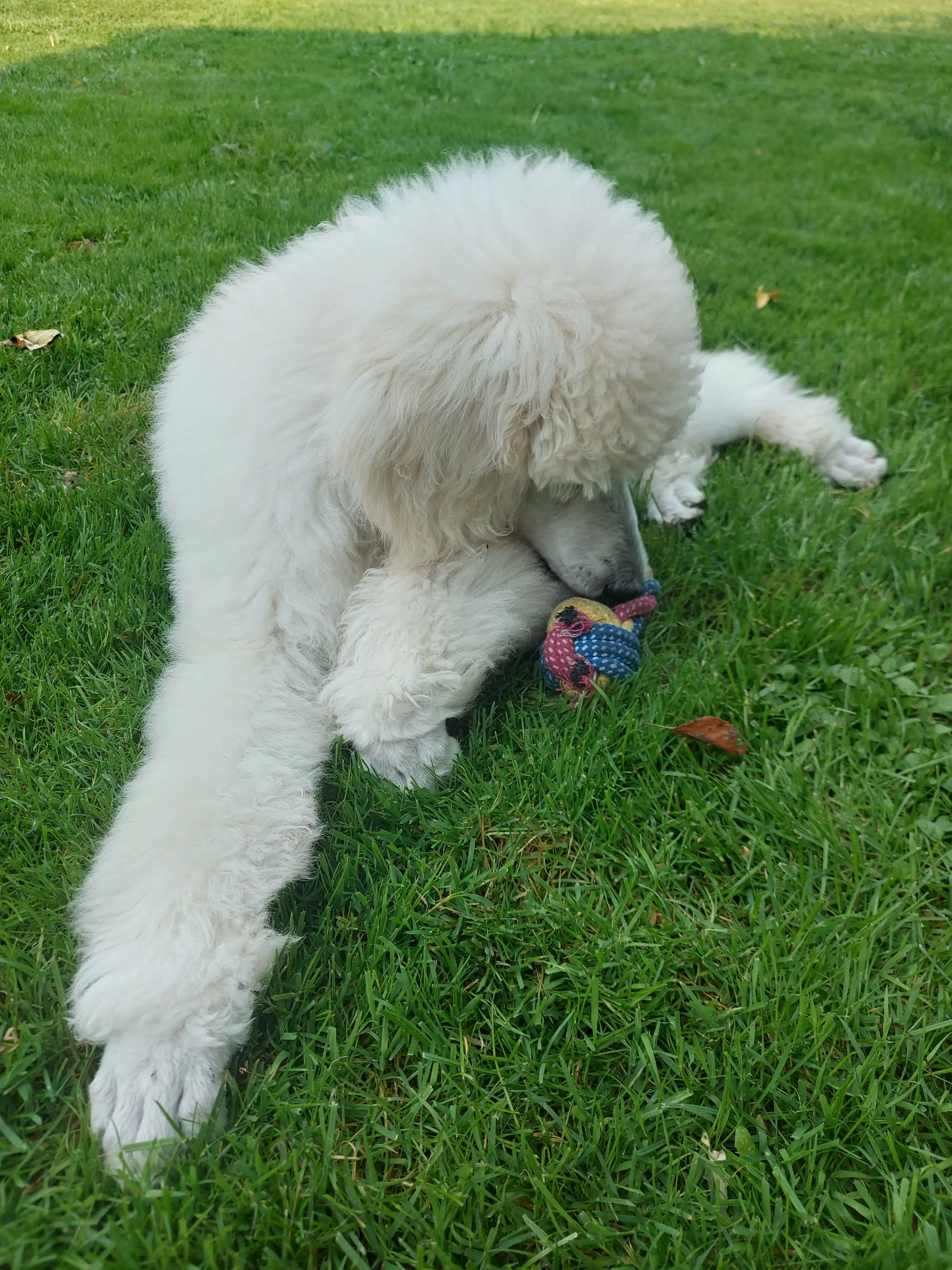 image-8