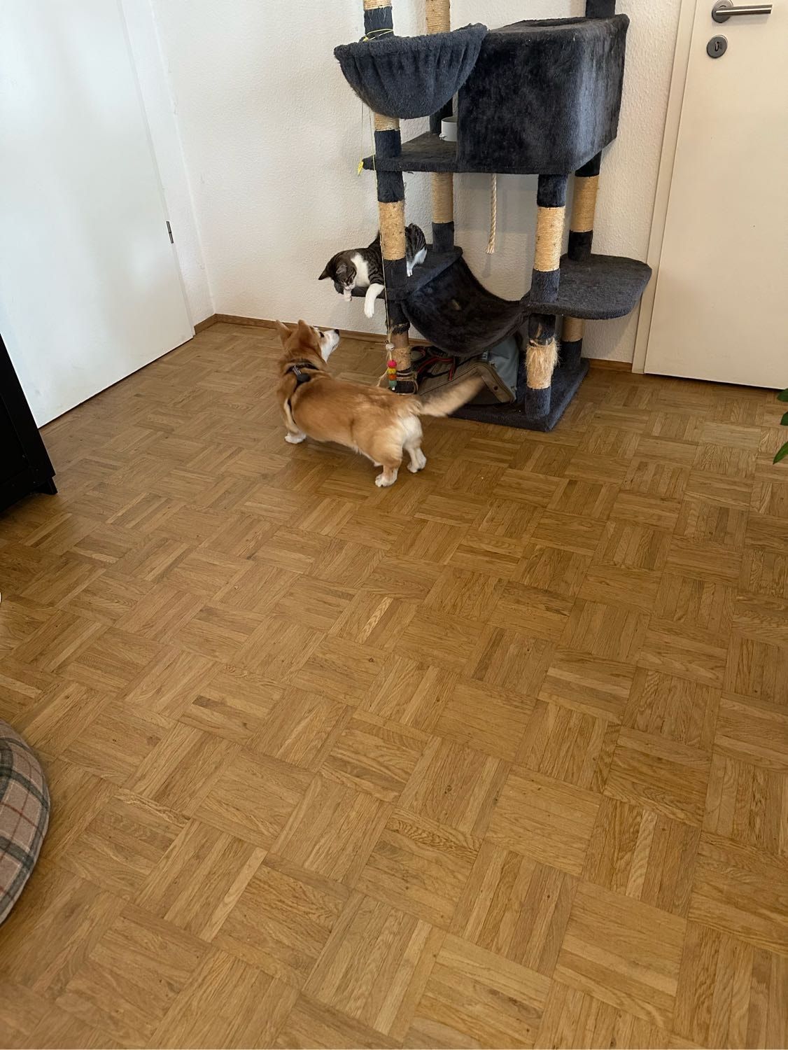 image-19