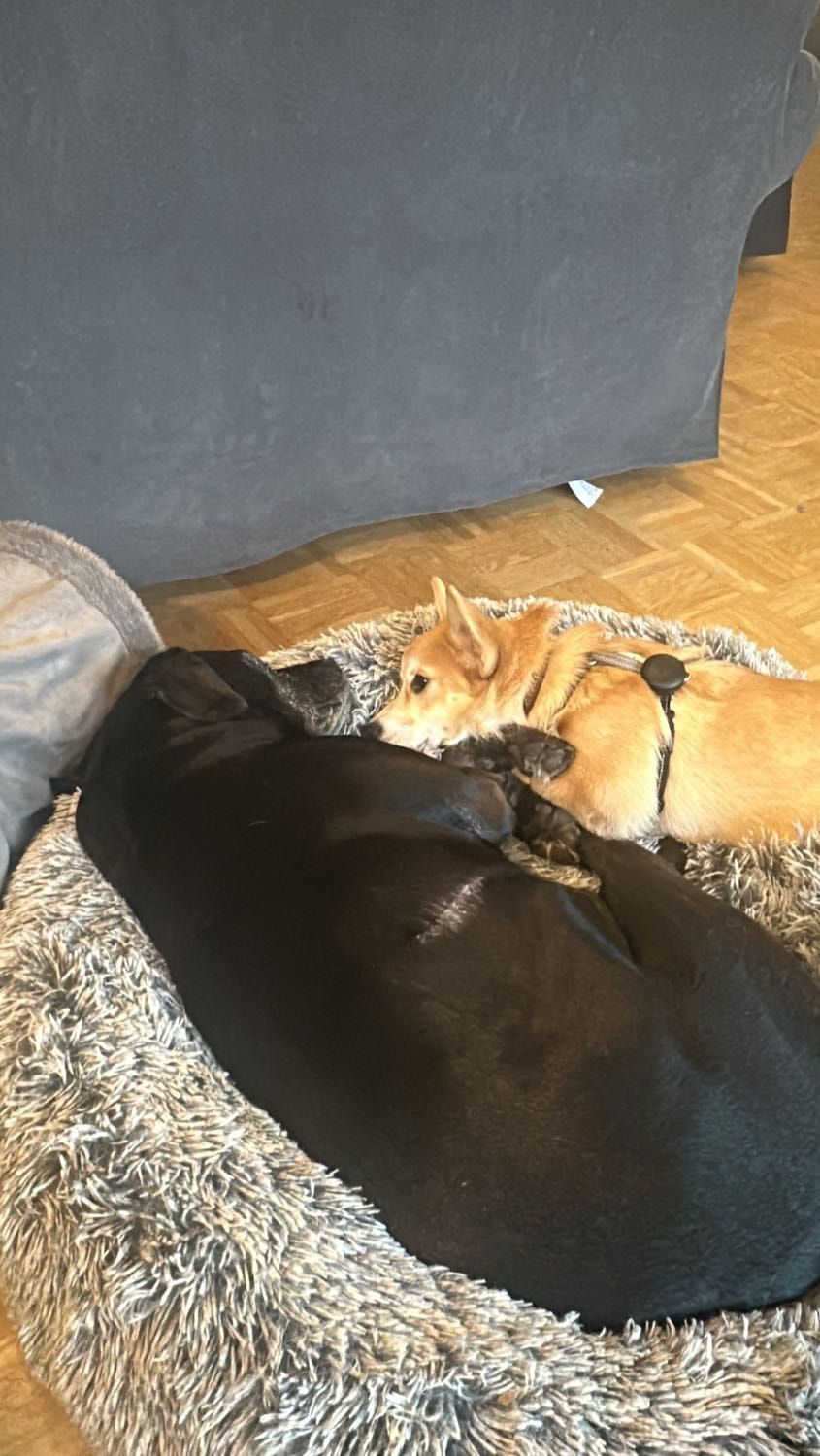 image-18