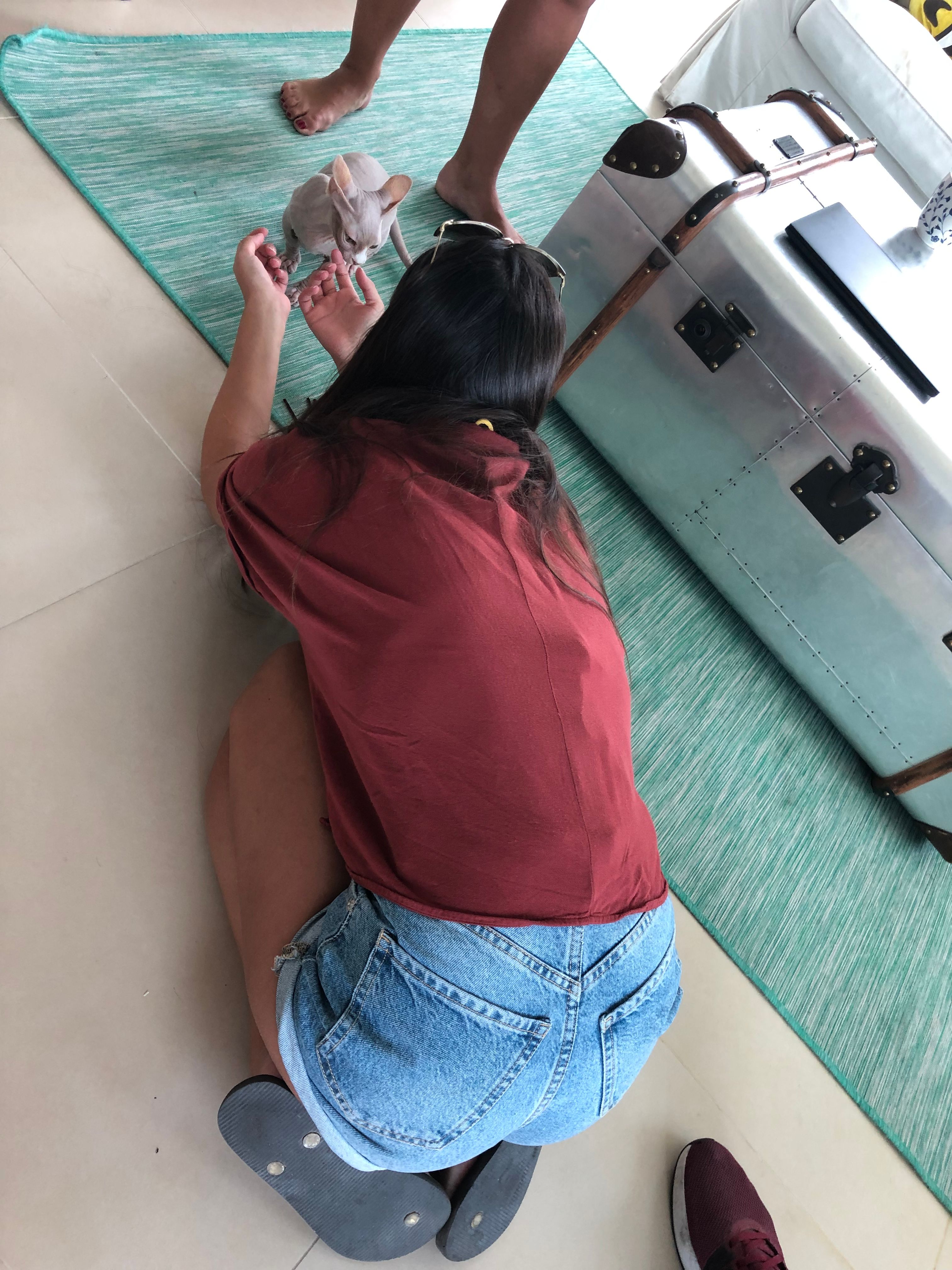 image-3