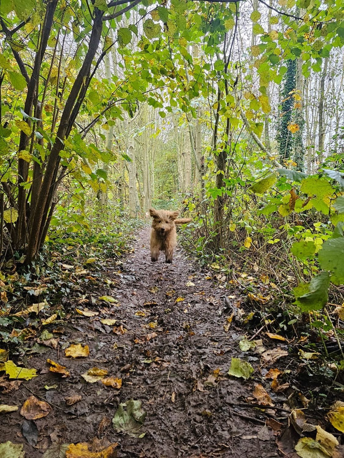 image-9