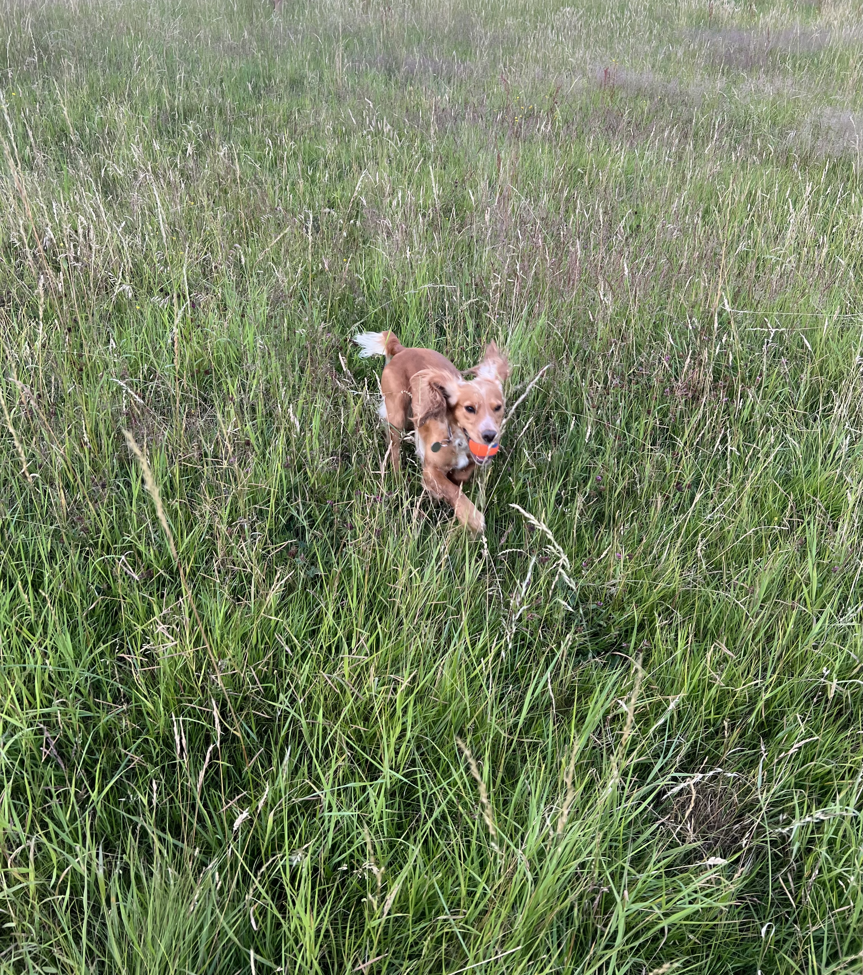 image-6