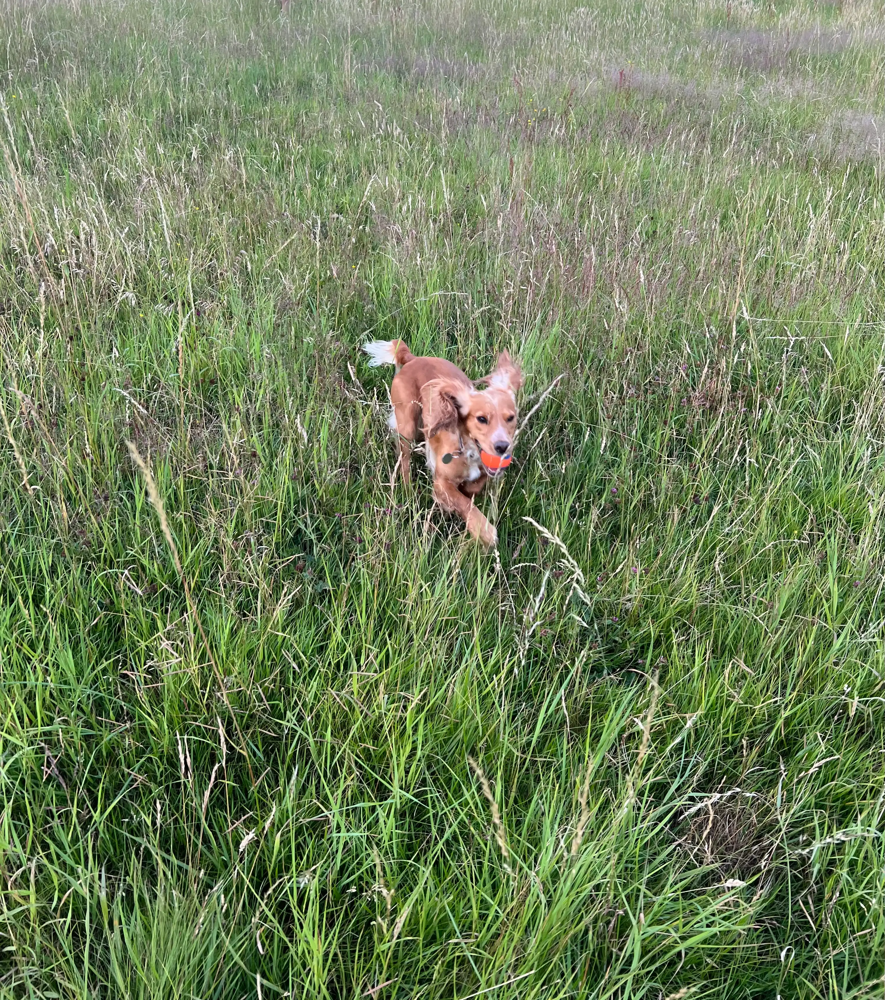 image-6