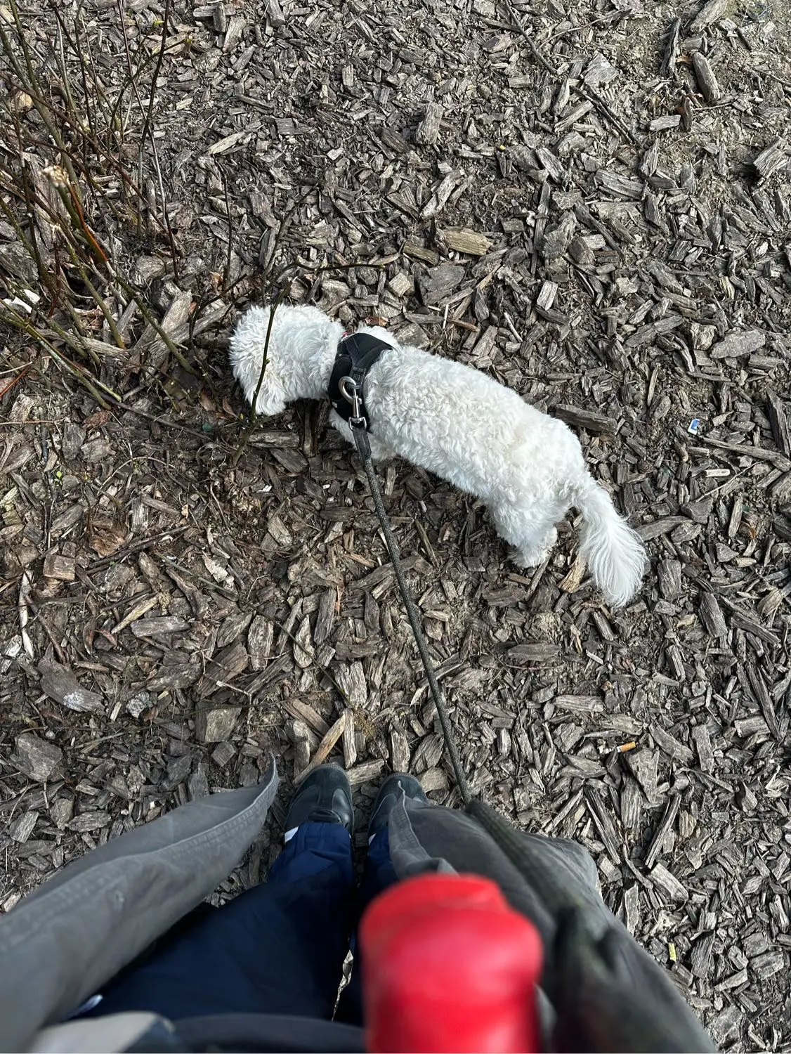 image-4