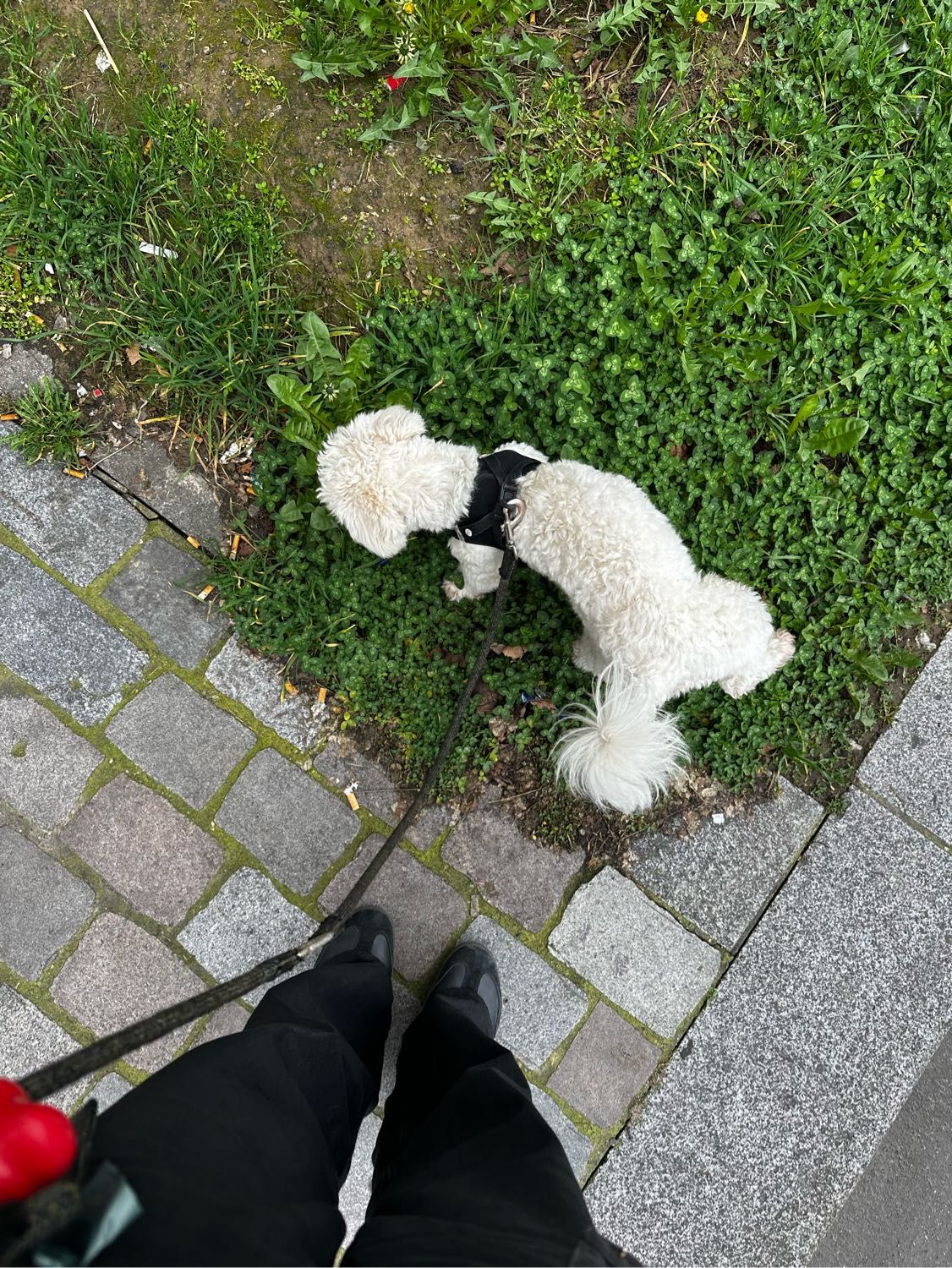 image-9