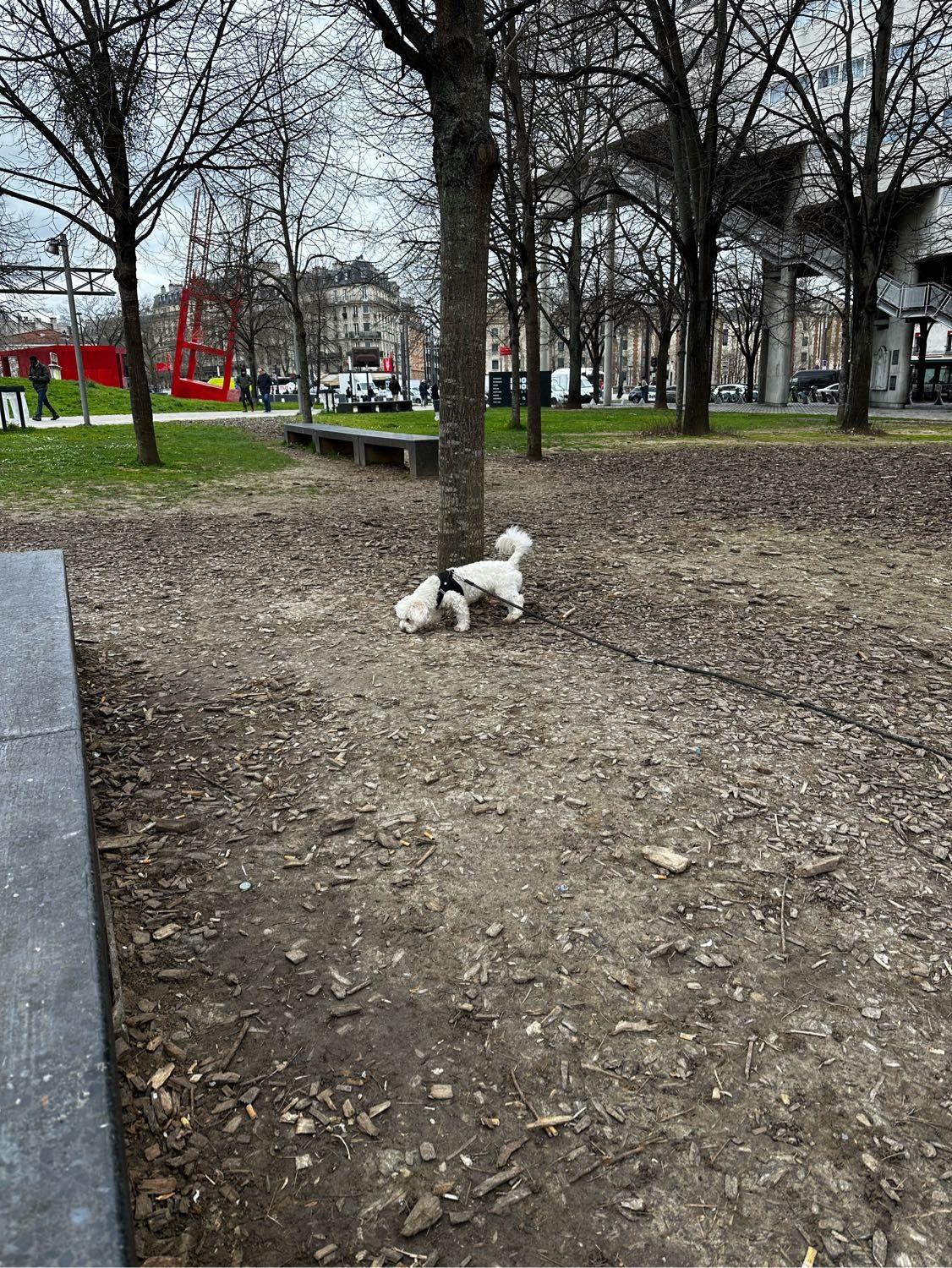 image-7