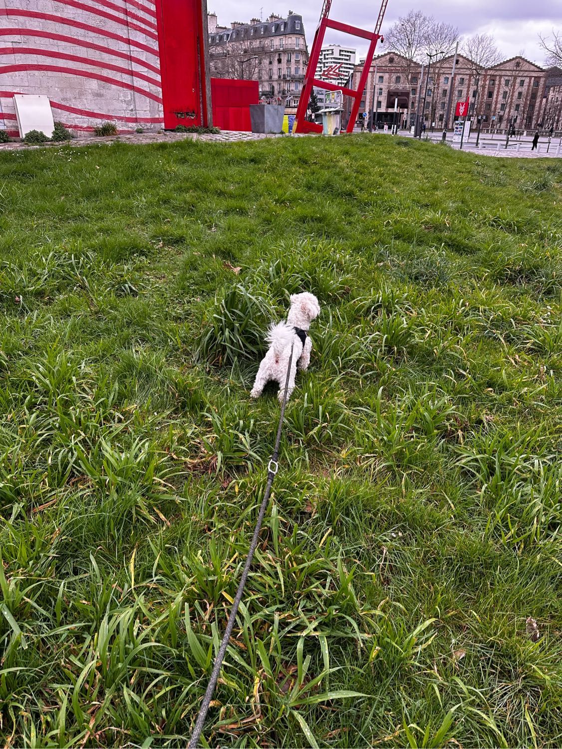 image-6