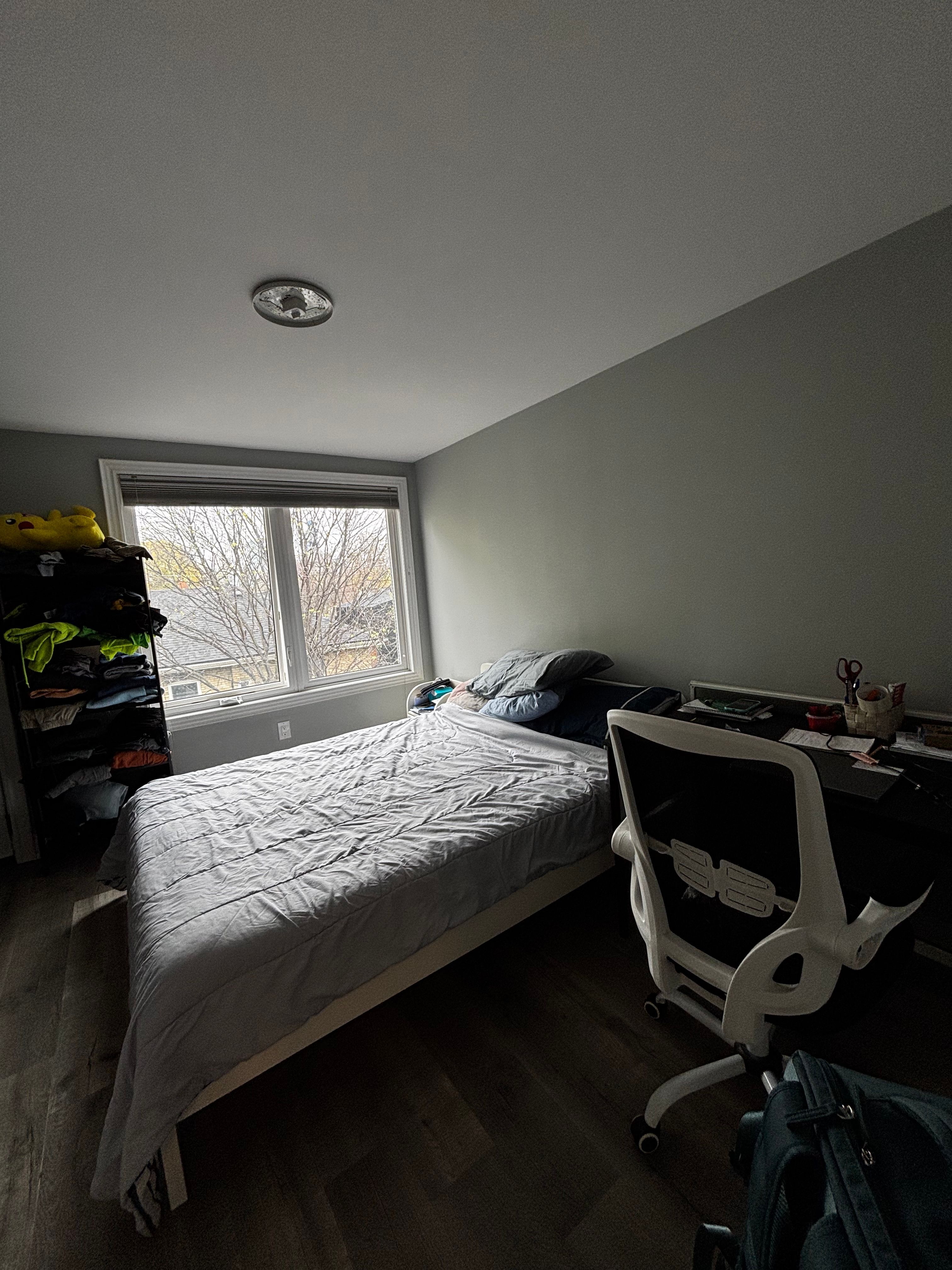 image-20