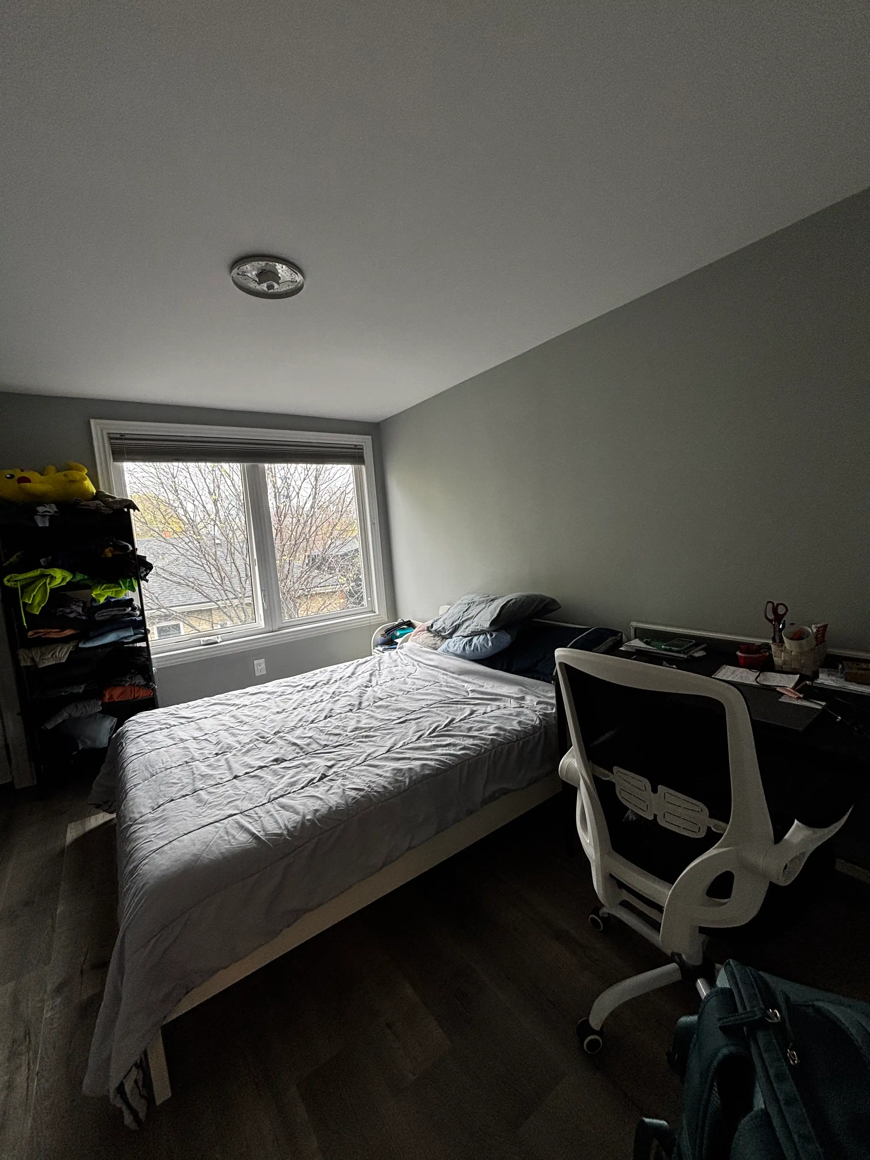 image-20