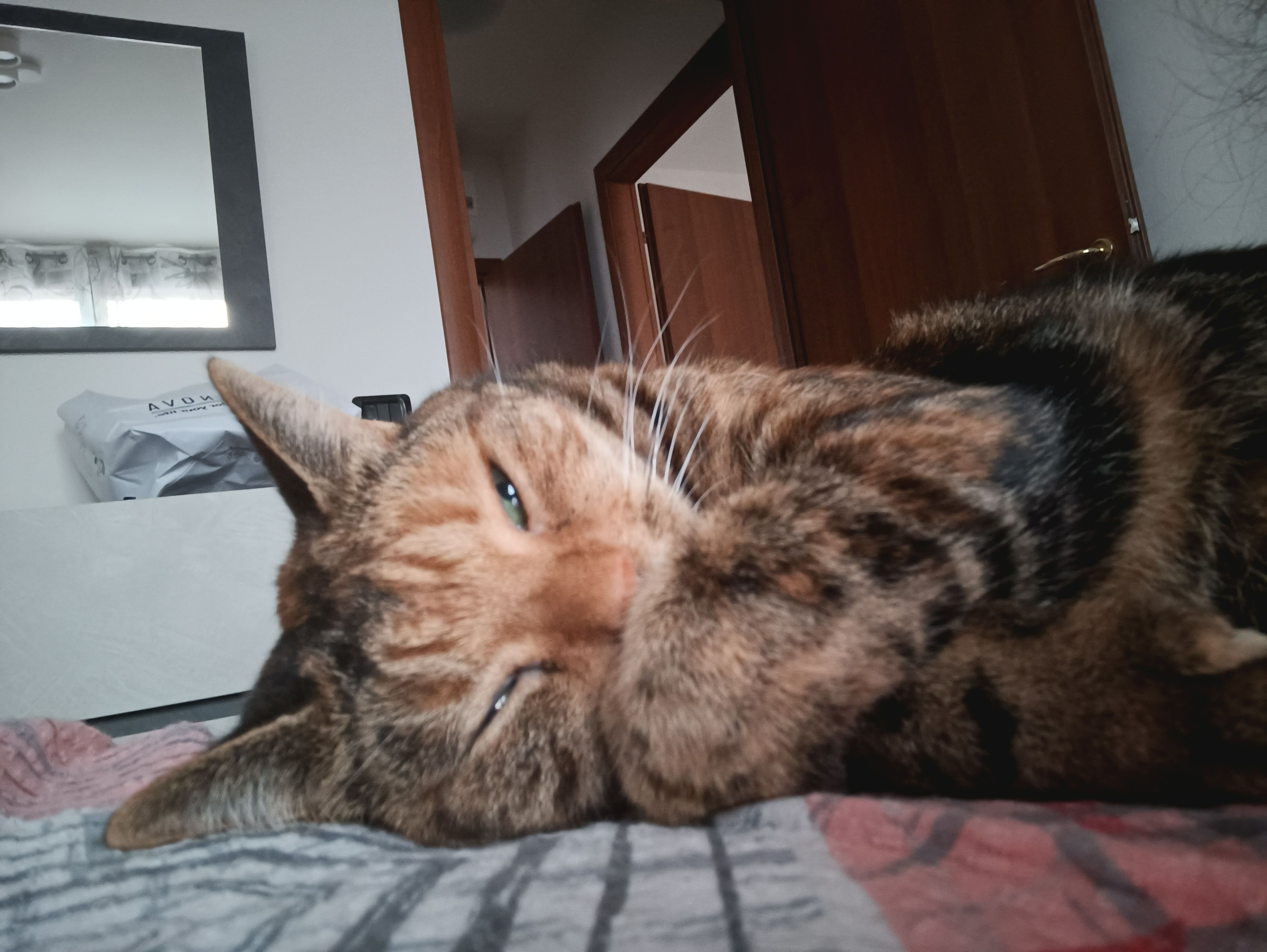 image-10