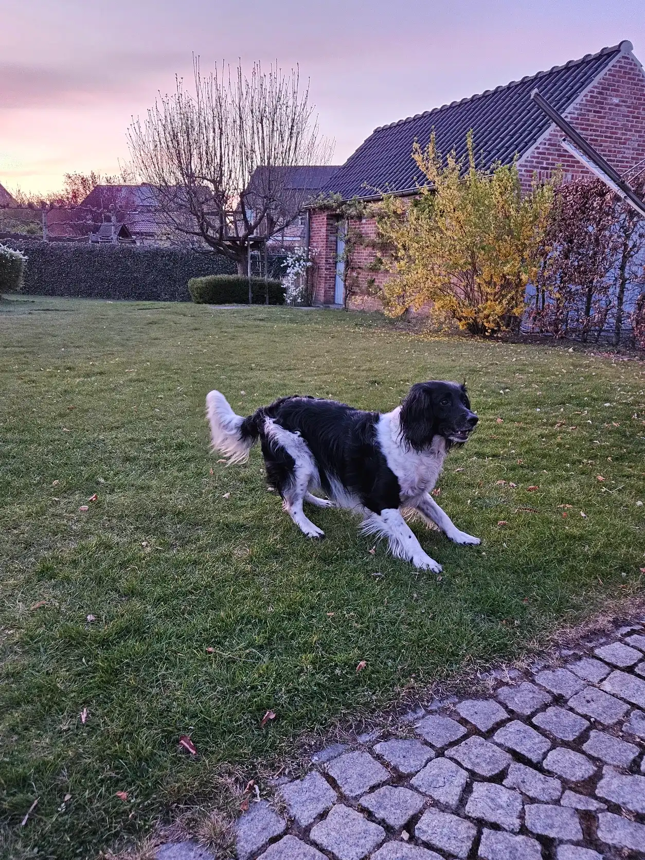 image-15