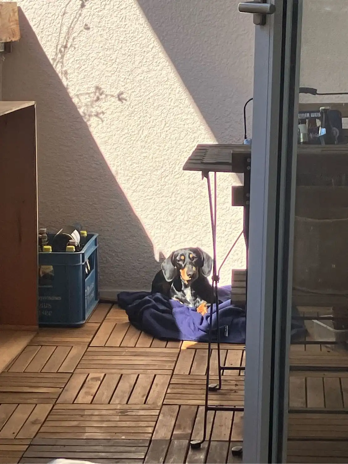 image-5