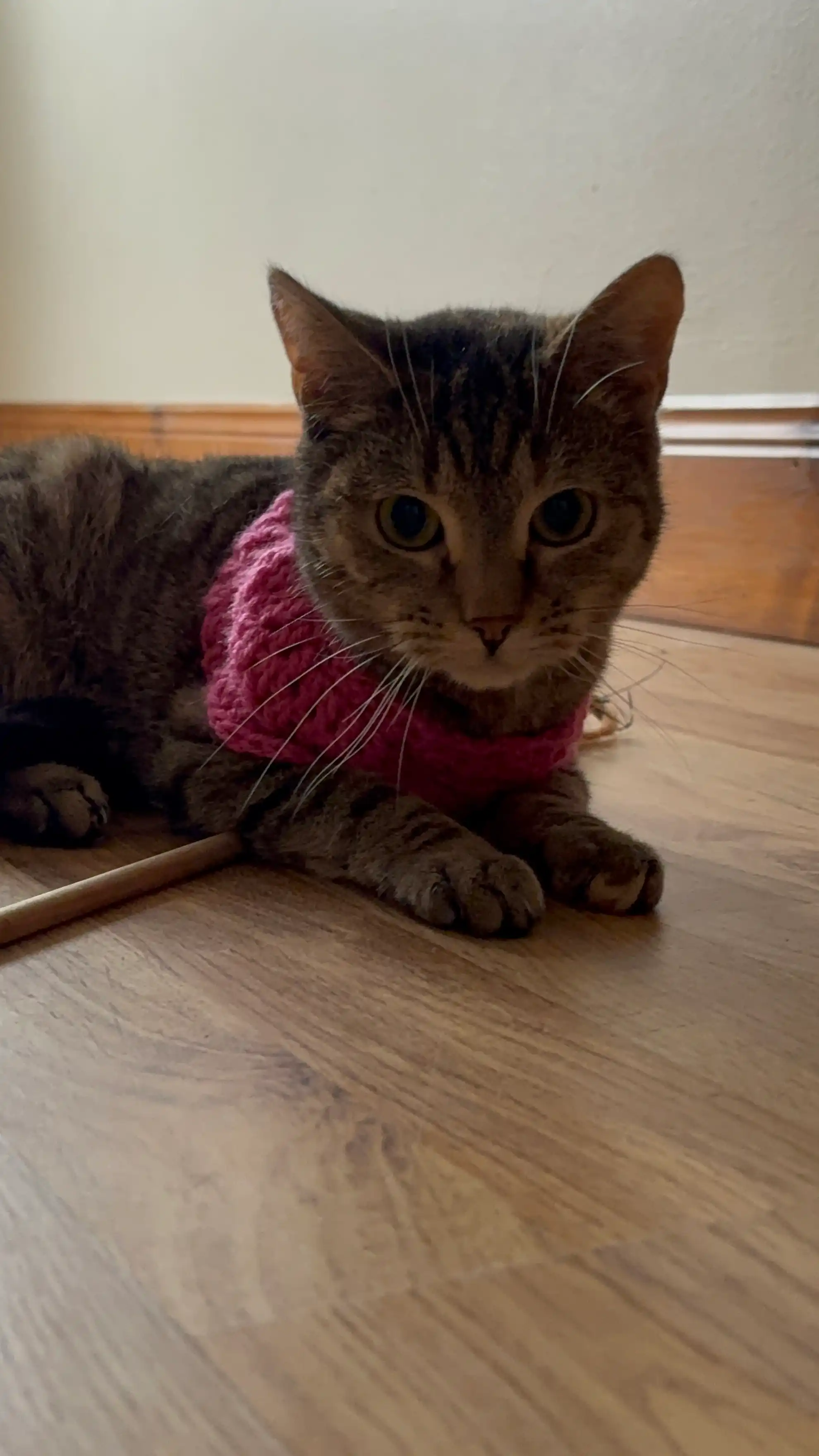 image-7